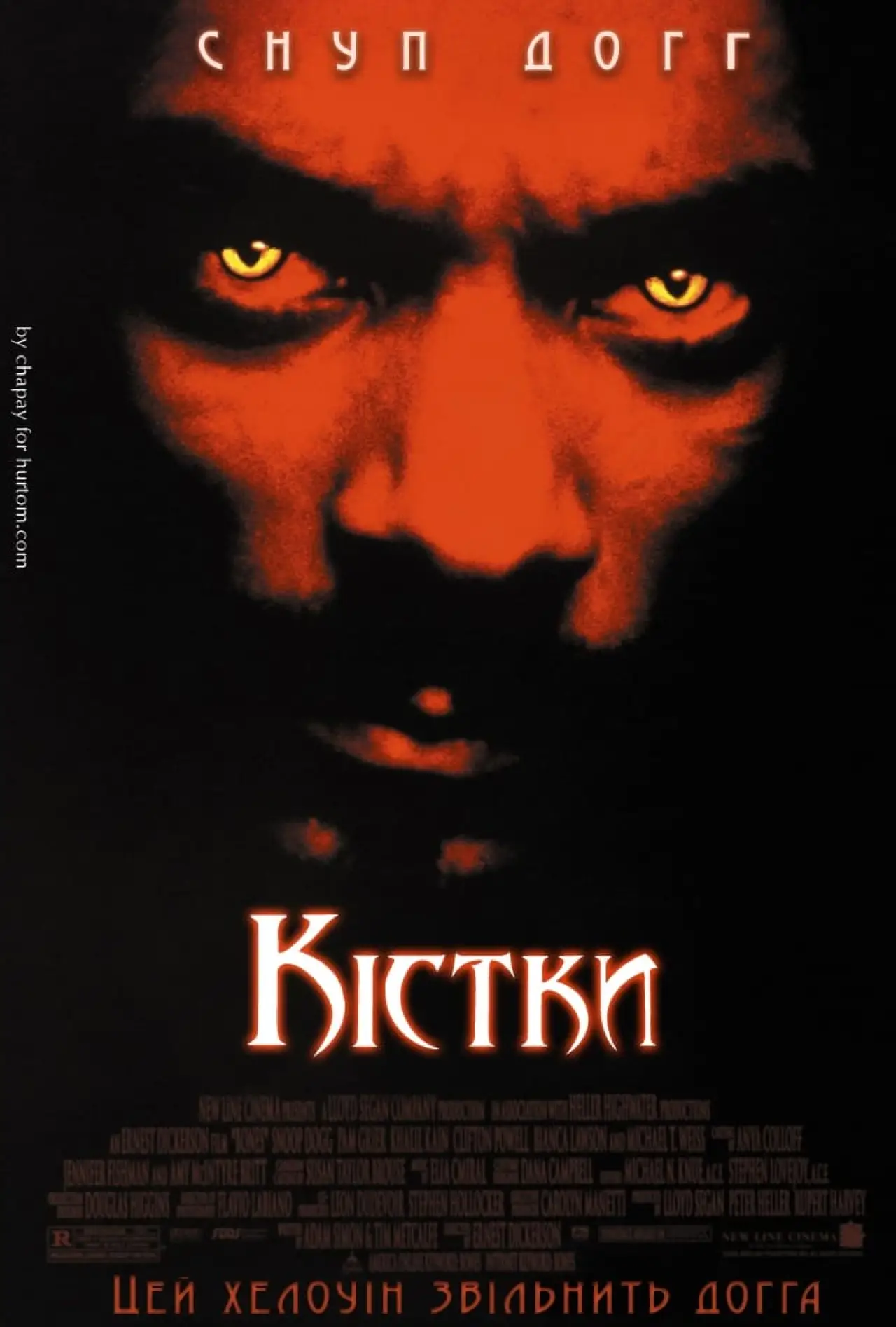 Постер до фільму "Кістки"
