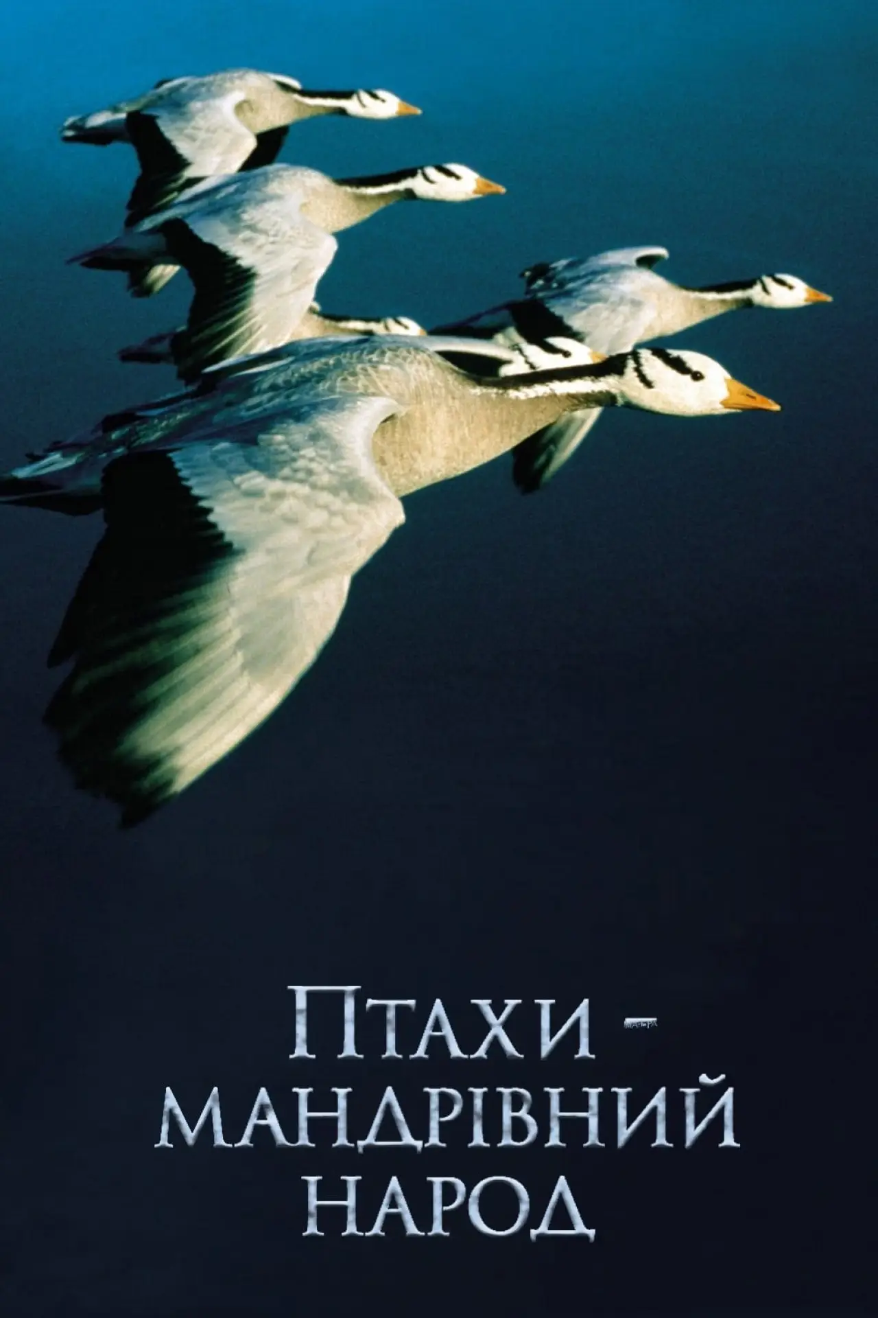 Постер до фільму "Птахи – мандрівний народ"