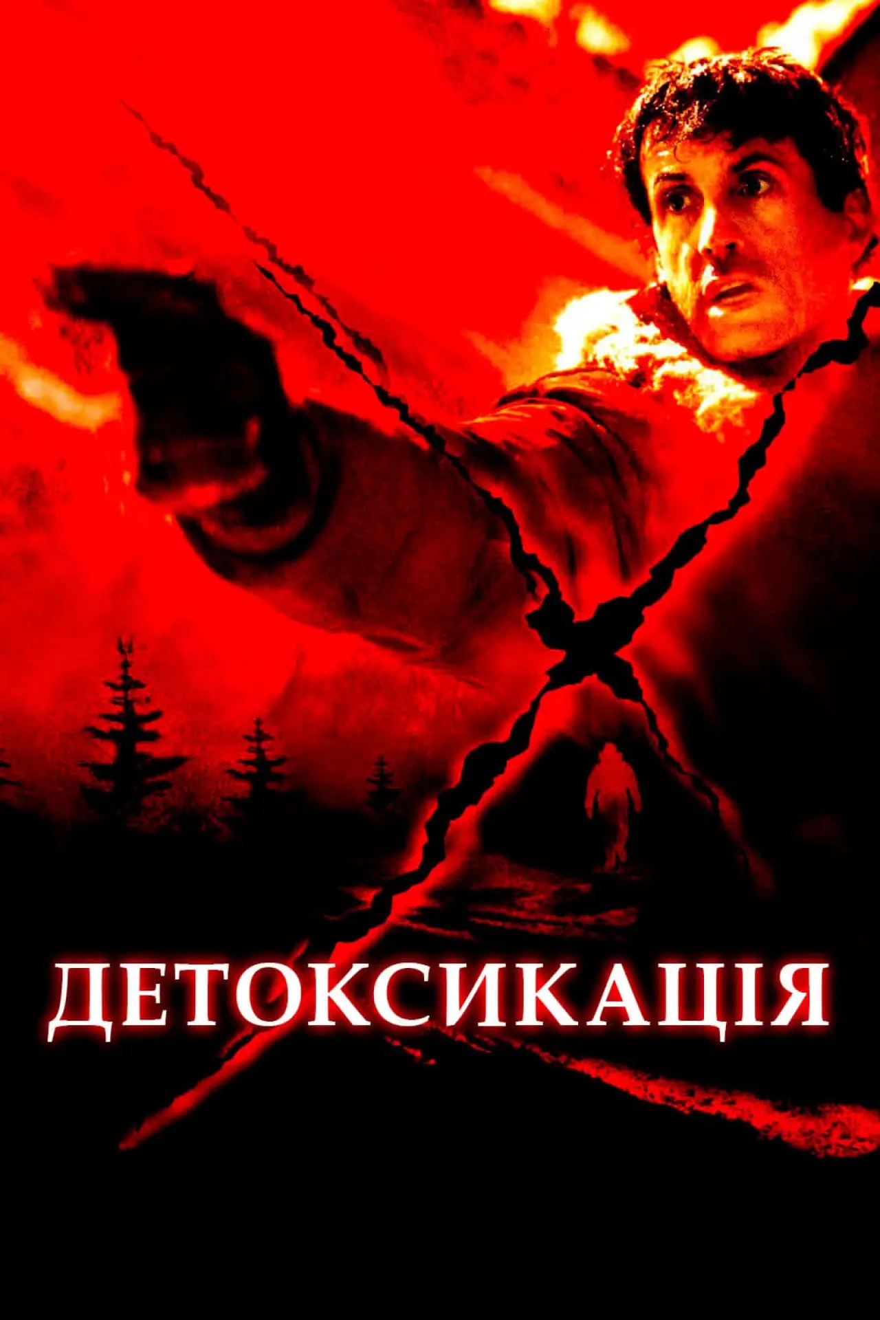 Постер до фільму "Детоксикація"