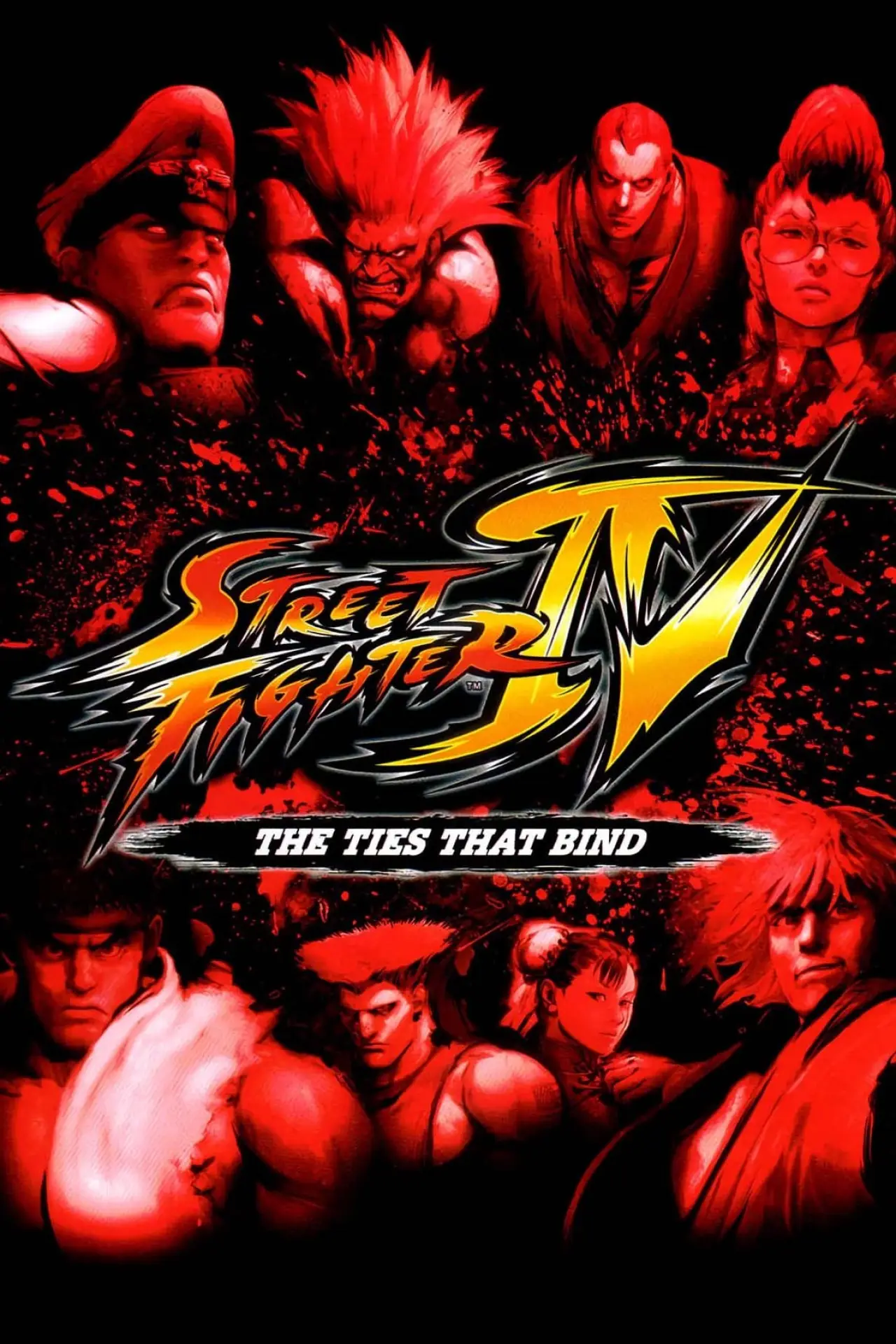 Постер до фільму "ストリートファイターIV 新たなる絆"