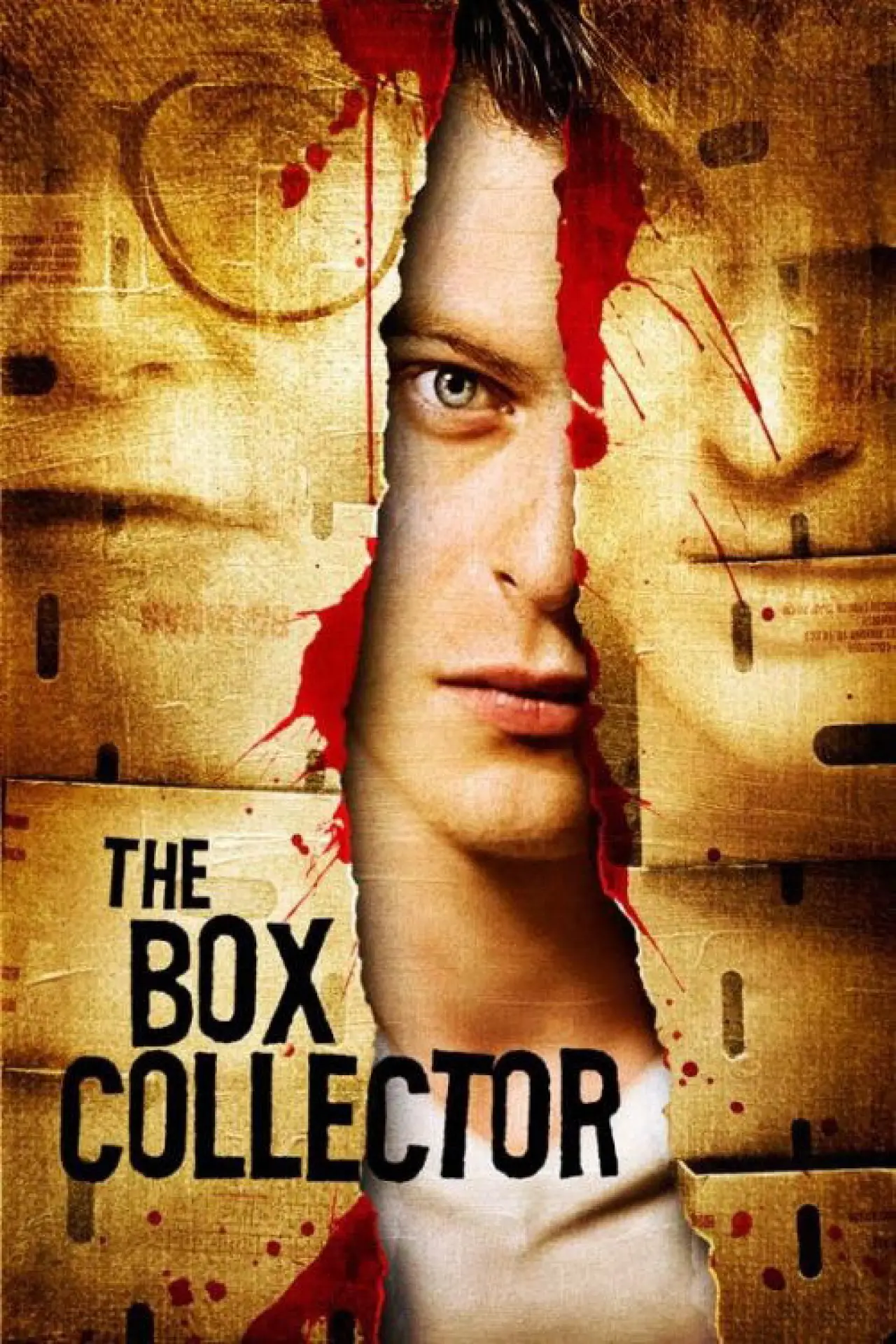 Постер до фільму "The Box Collector"