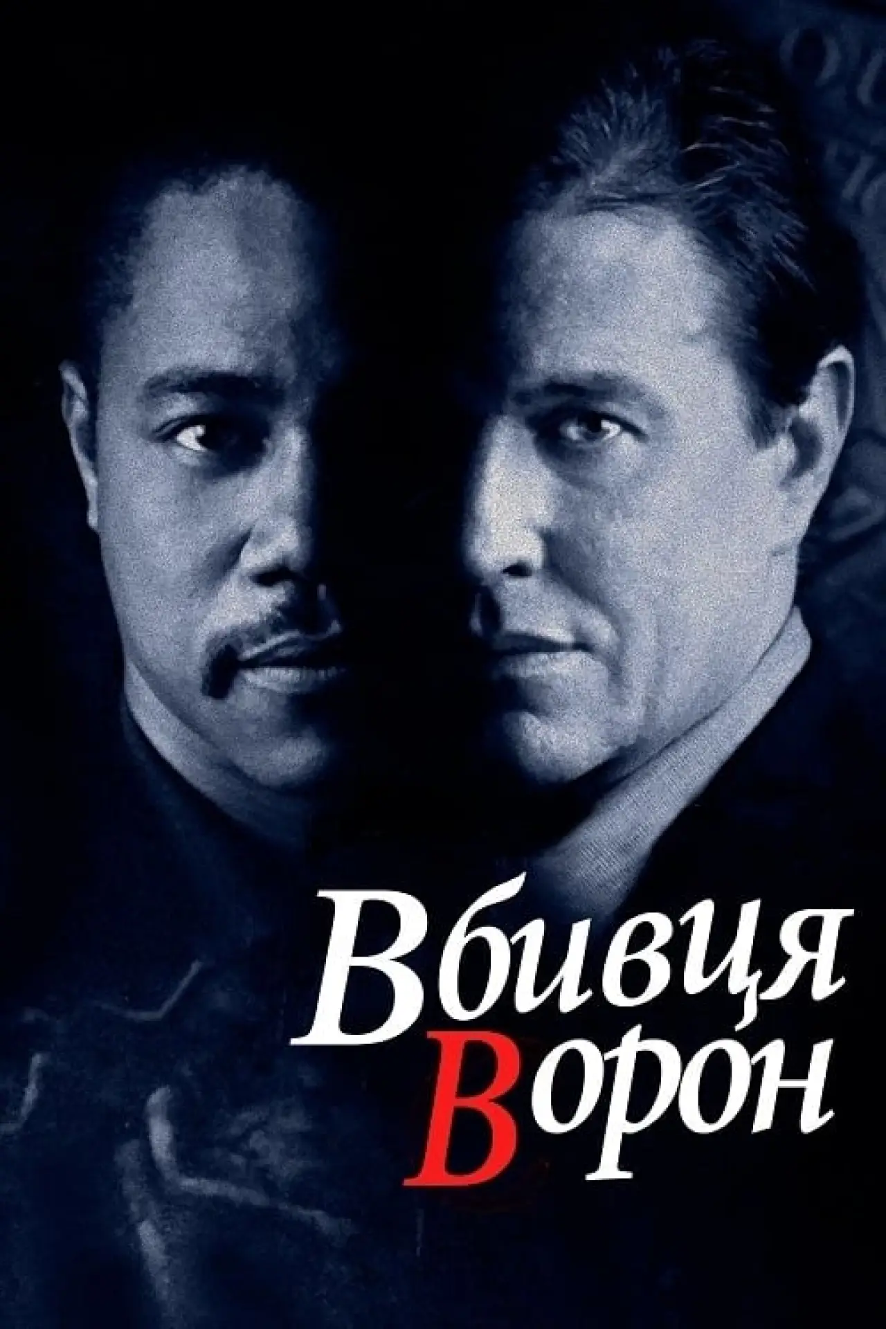 Постер до фільму "Вбивця ворон"