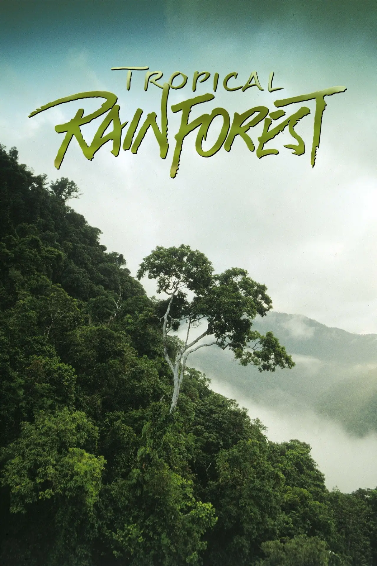 Постер до фільму "Tropical Rainforest"