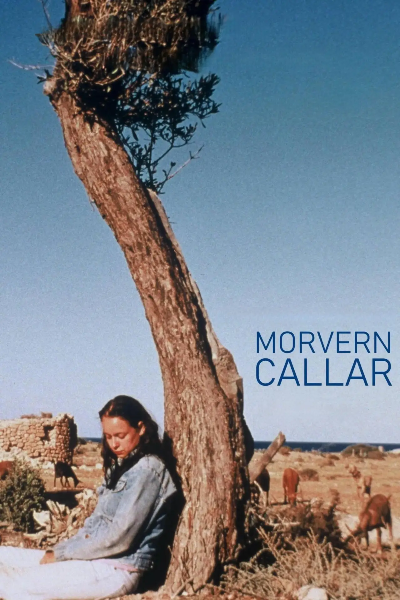 Постер до фільму "Morvern Callar"