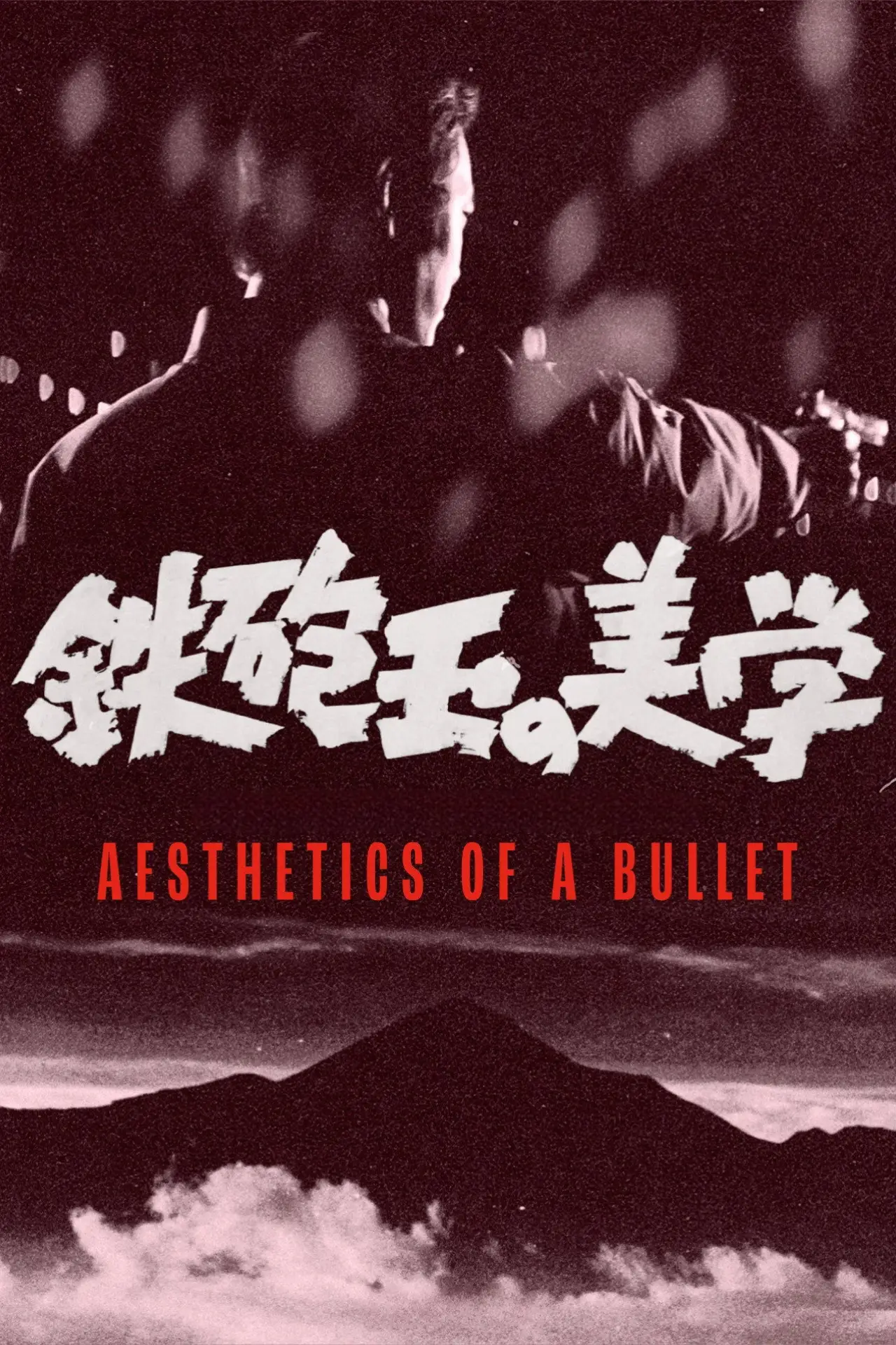 Постер до фільму "鉄砲玉の美学 　"