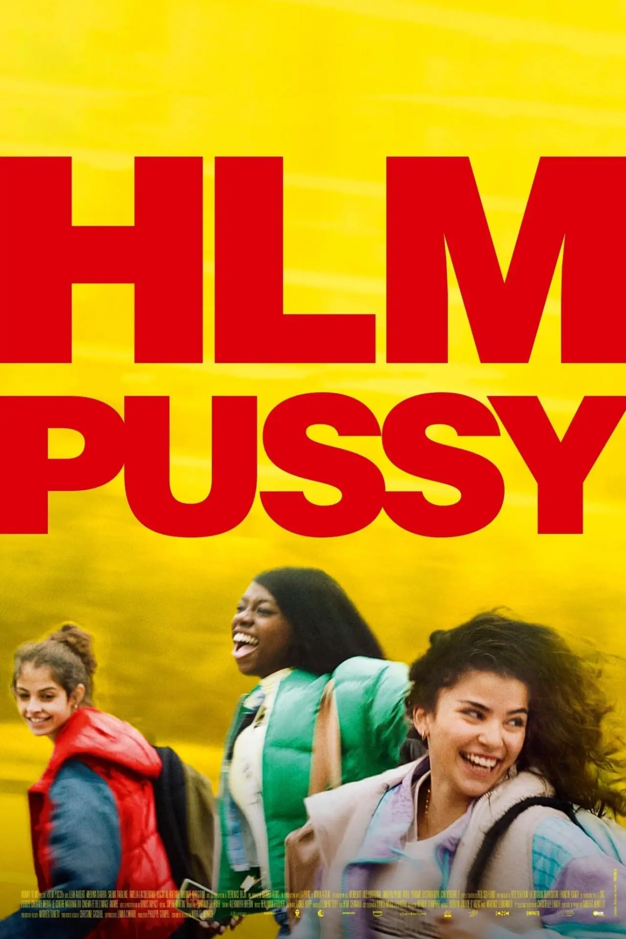Постер до фільму "HLM Pussy"