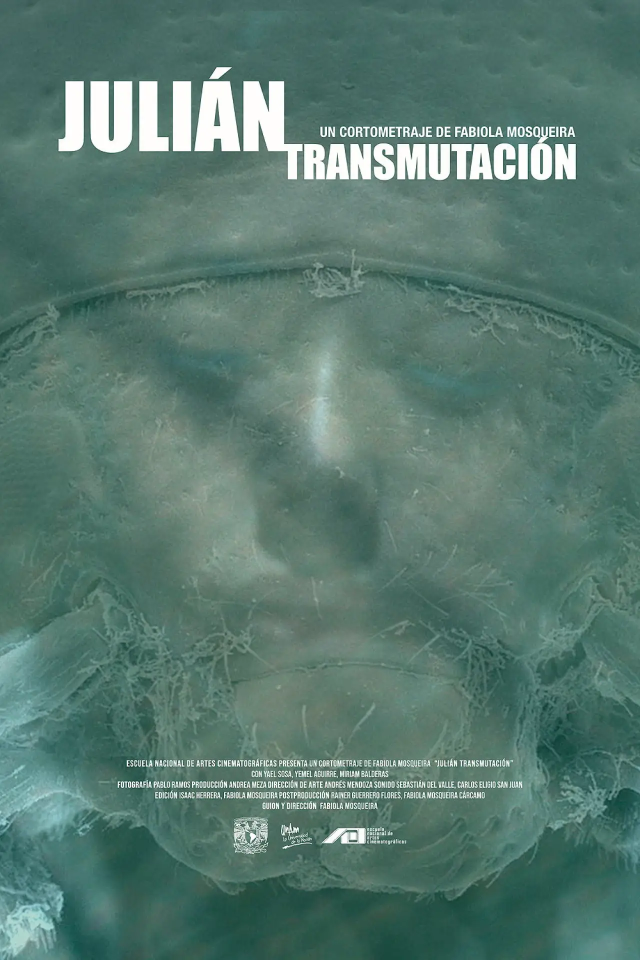 Постер до фільму "Julián (Transmutación)"