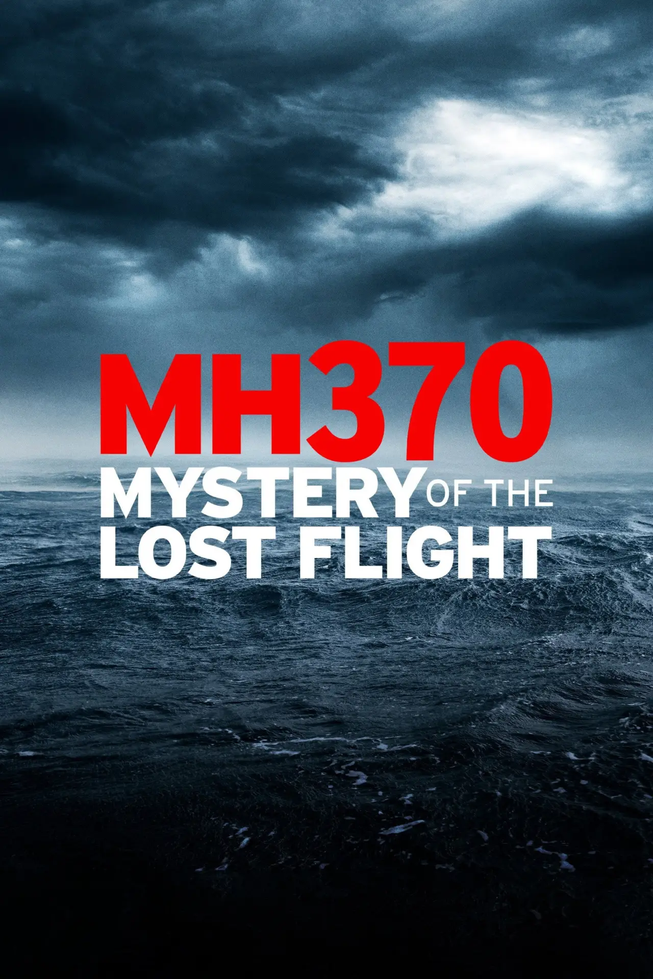 Постер до фільму "MH370: Mystery of the Lost Flight"