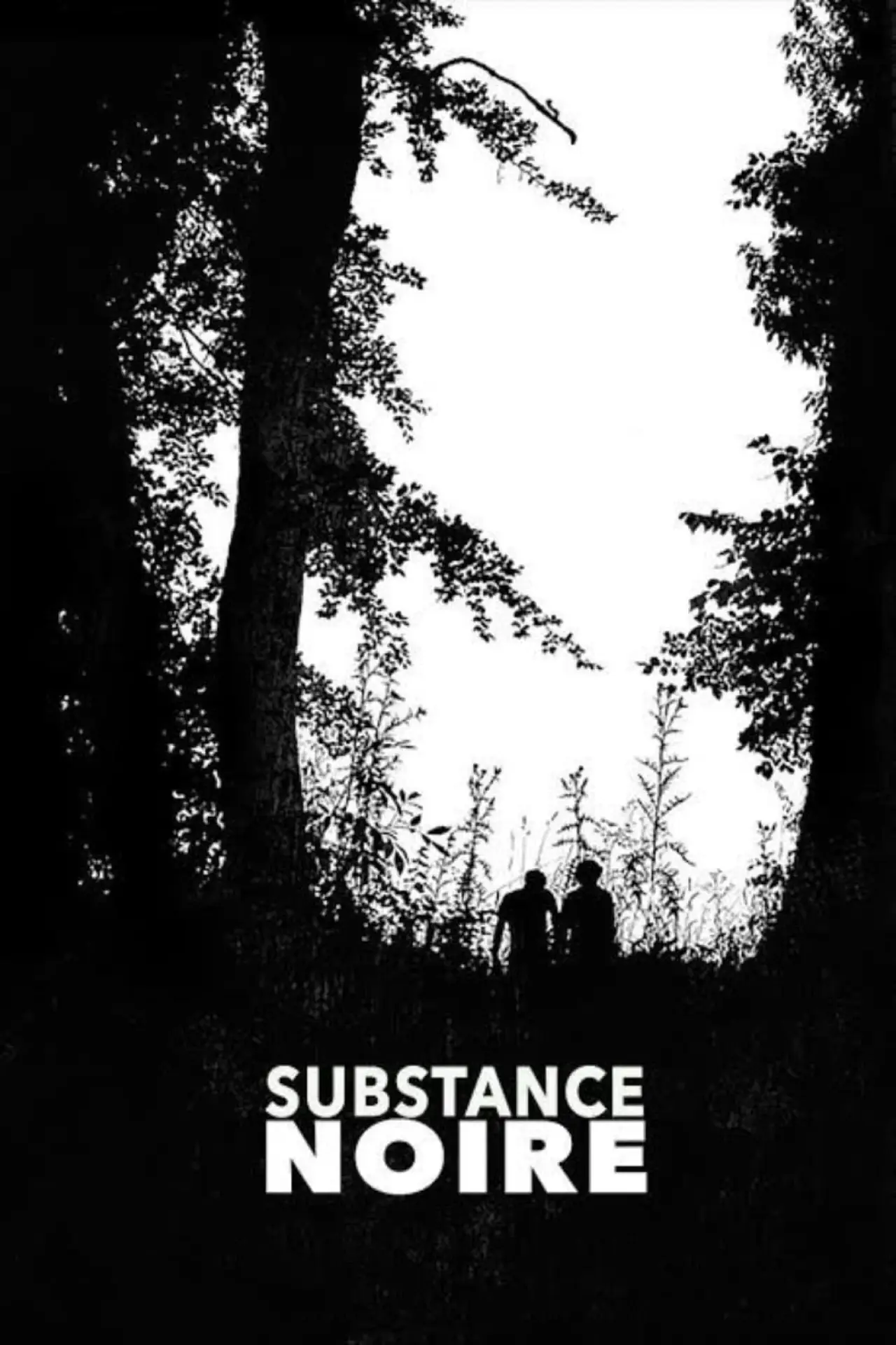 Постер до фільму "Substance noire"