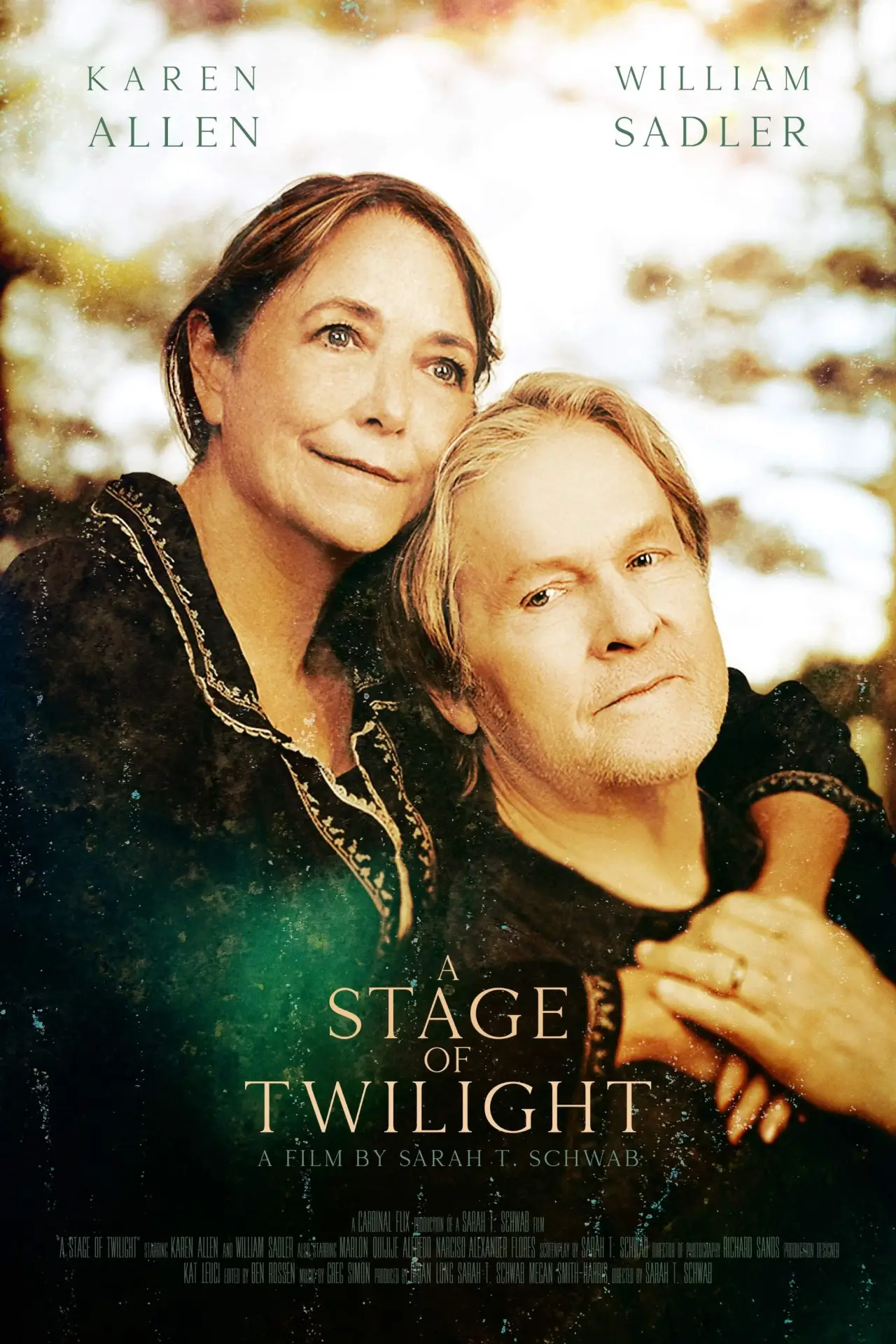 Постер до фільму "A Stage of Twilight"