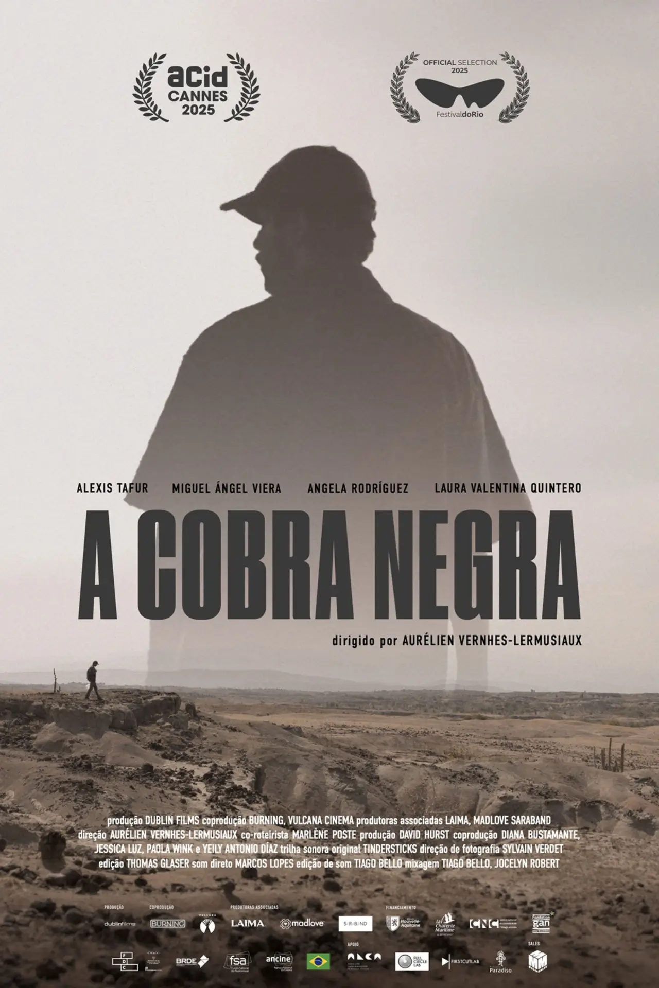 Постер до фільму "La Couleuvre noire"