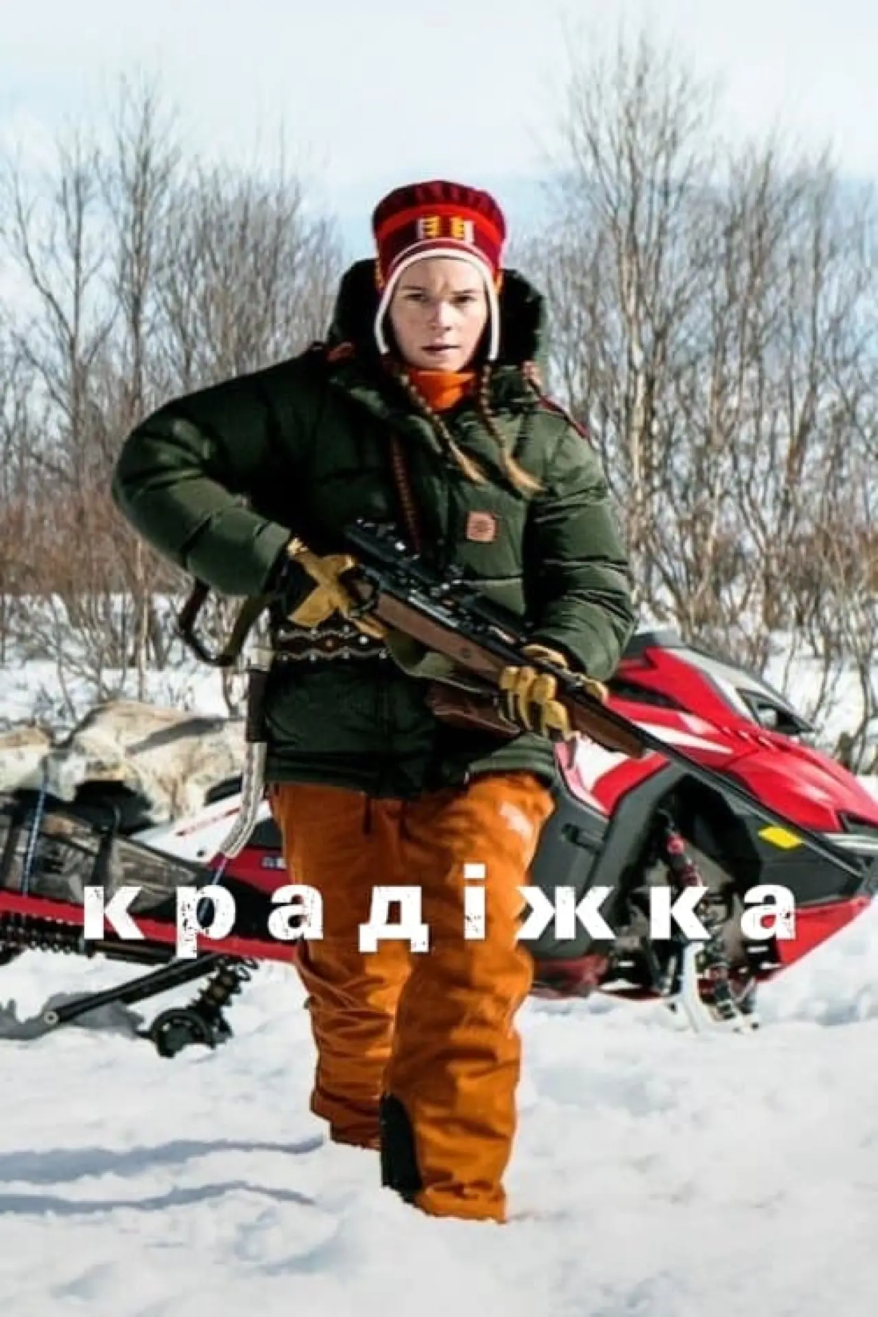Постер до фільму "Крадіжка"
