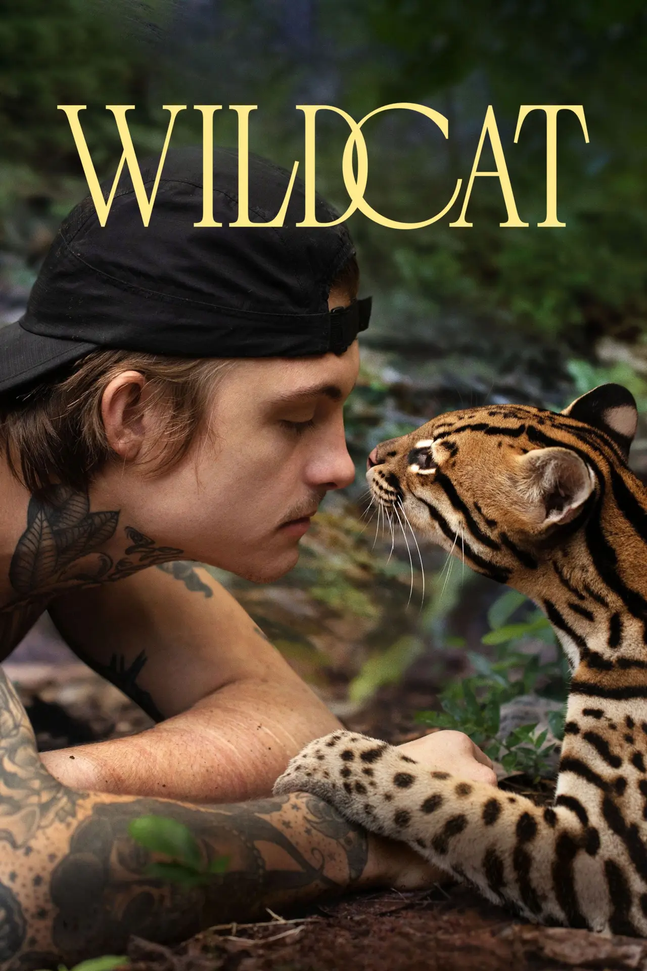 Постер до фільму "Wildcat"