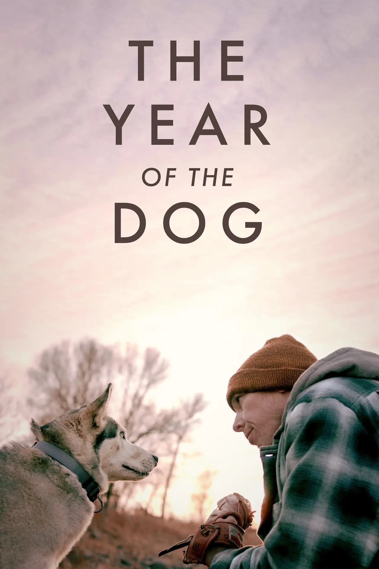 Постер до фільму "The Year of the Dog"