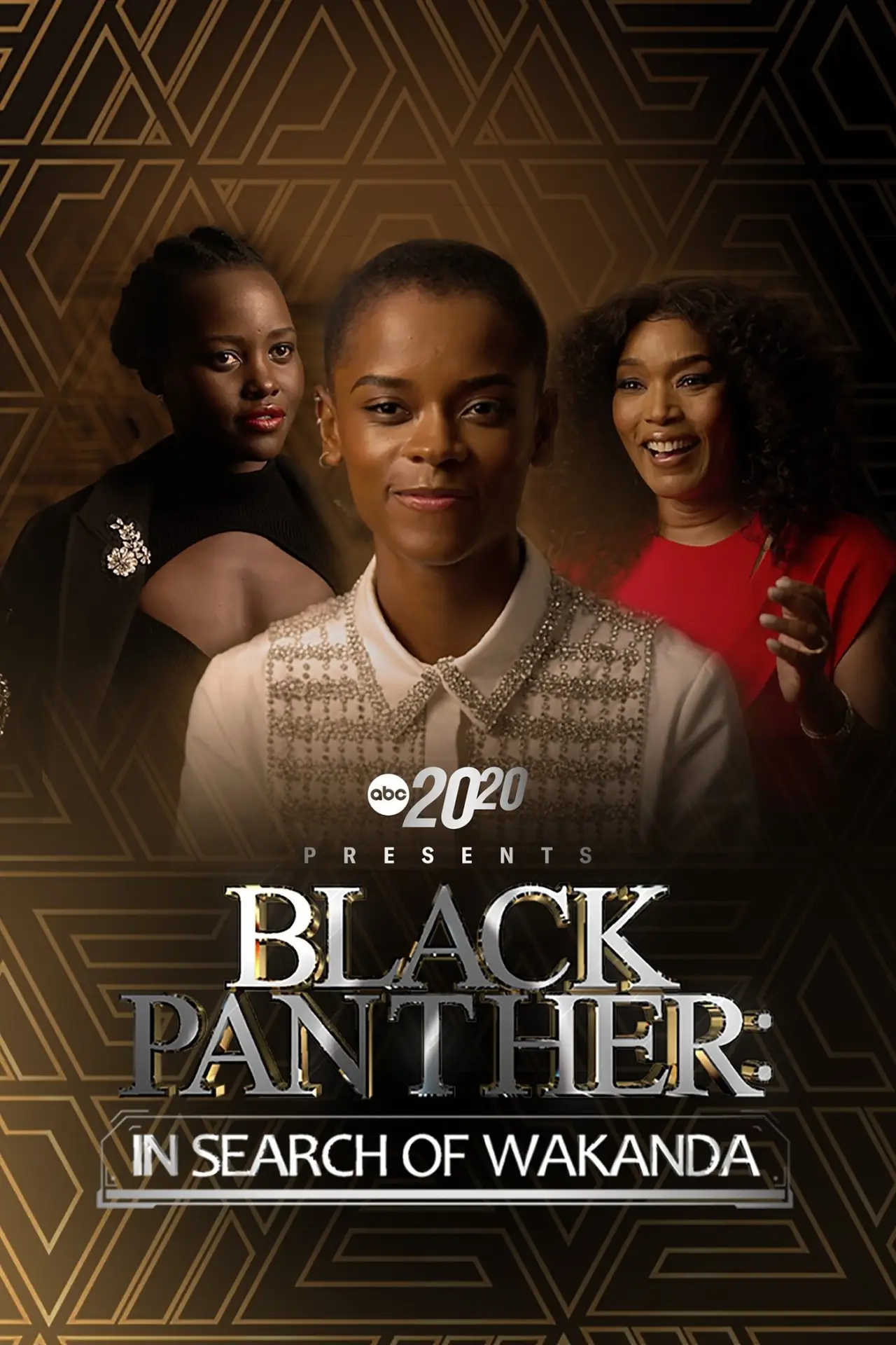 Постер до фільму "20/20 Presents Black Panther: In Search of Wakanda"