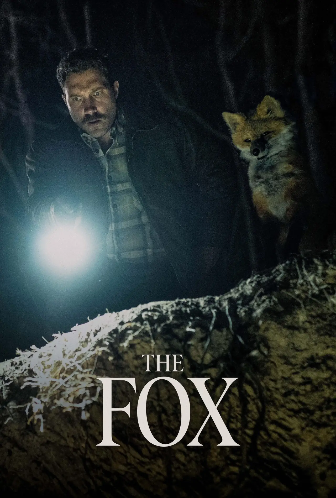 Постер до фільму "The Fox"