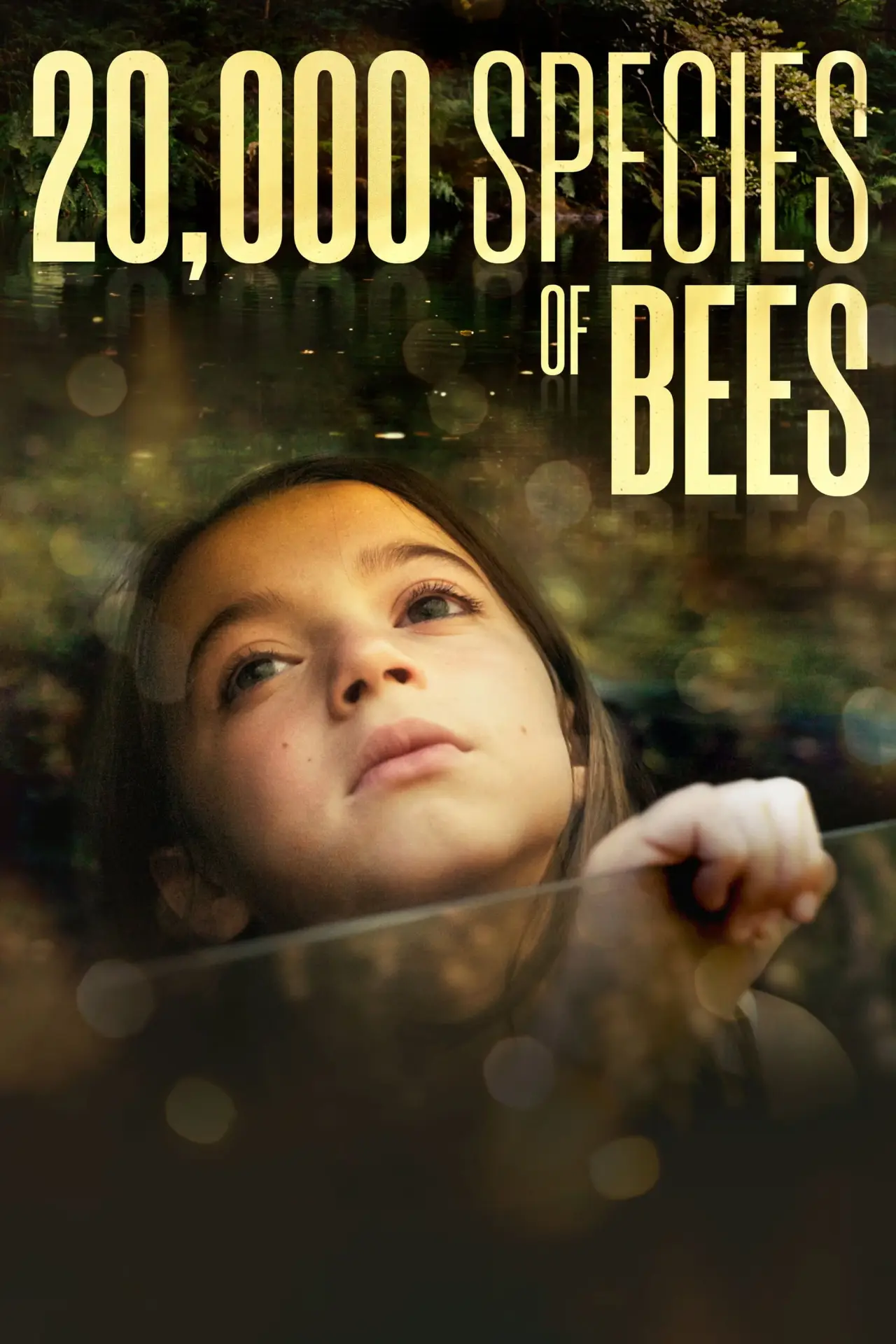 Постер до фільму "20.000 especies de abejas"
