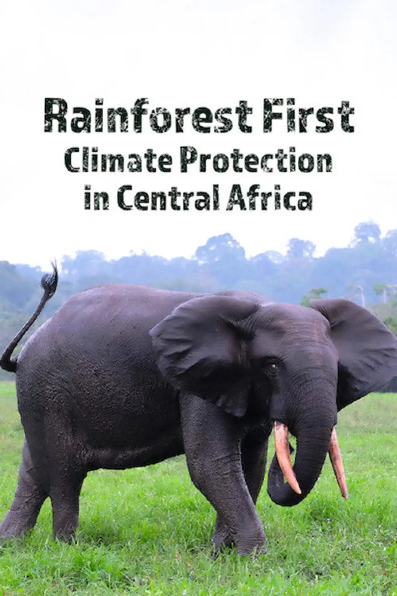 Постер до фільму "Rainforest First: Climate Protection in Central Africa"