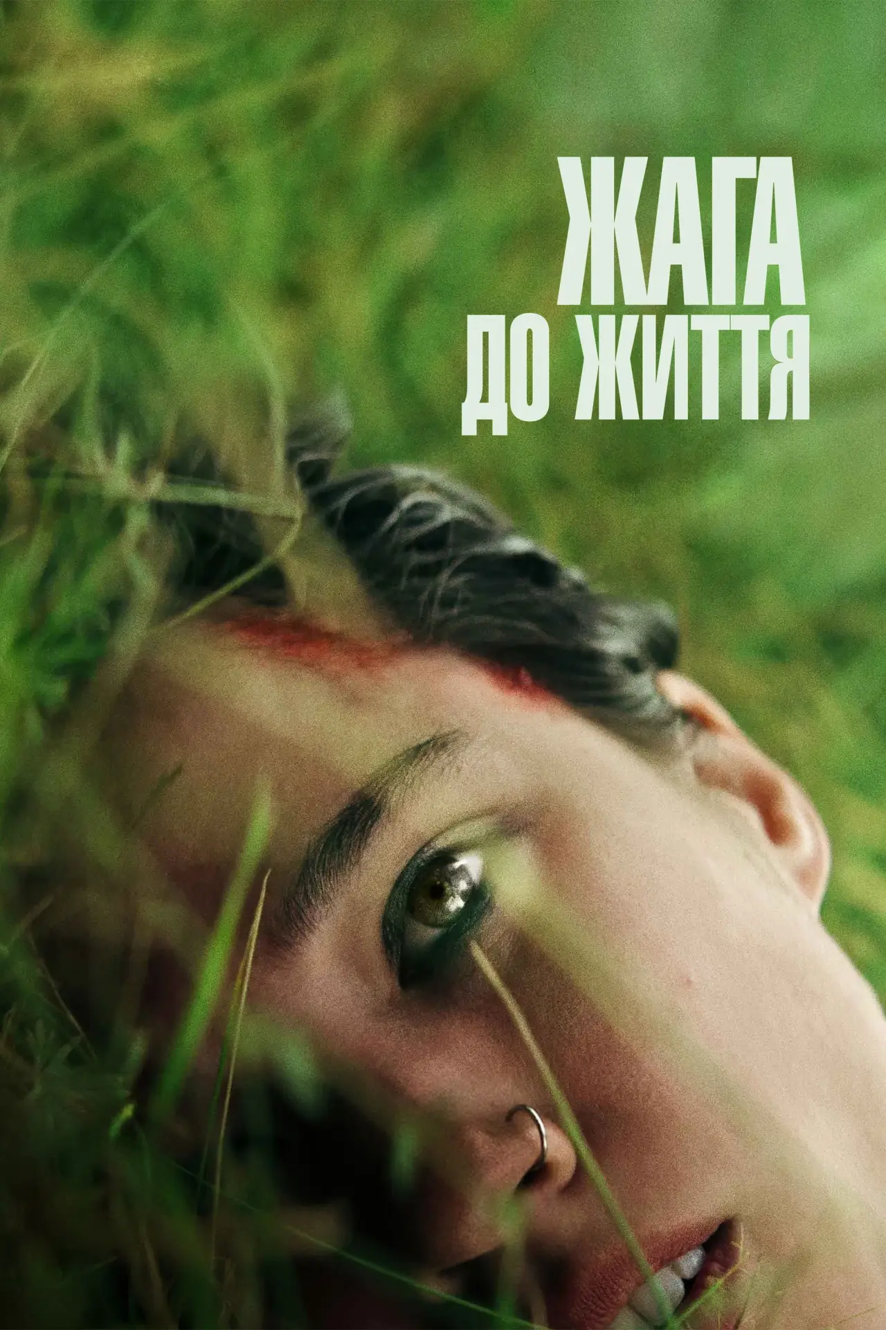 Постер до фільму "Жага до життя"