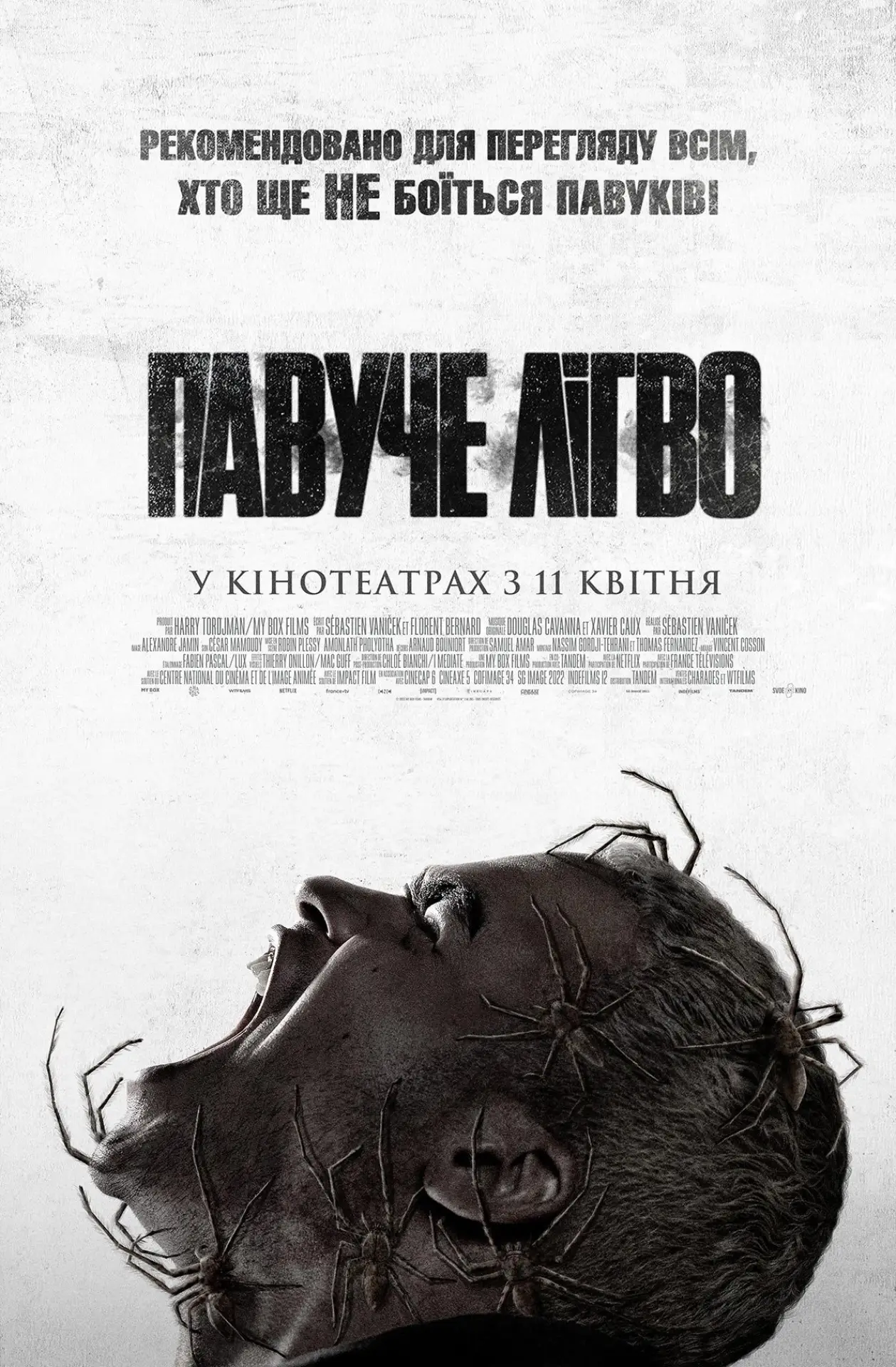 Постер до фільму "Павуче лігво"