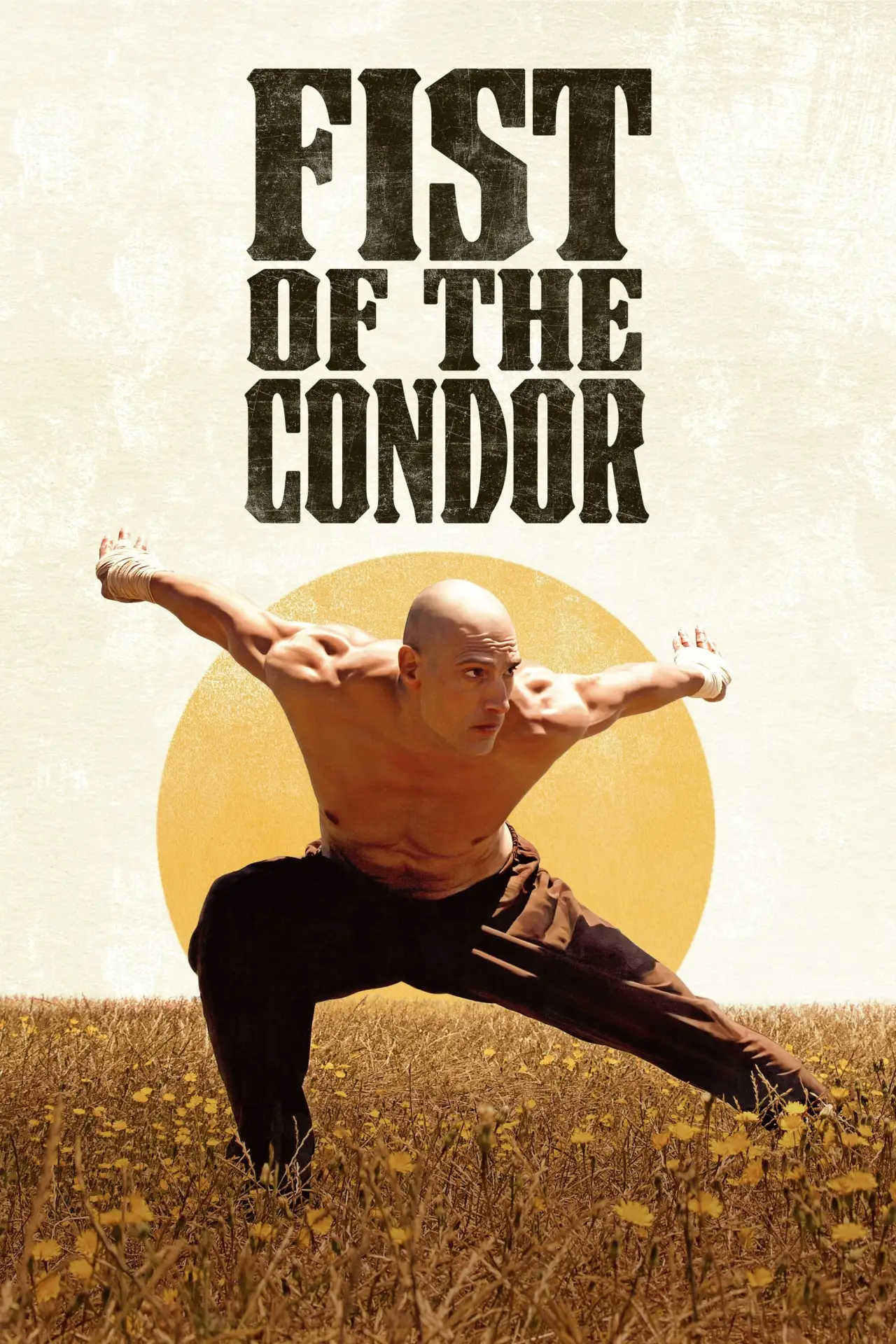 Постер до фільму "El puño del cóndor"