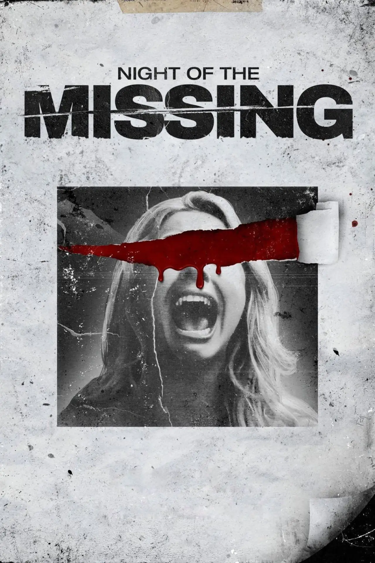 Постер до фільму "Night of the Missing"