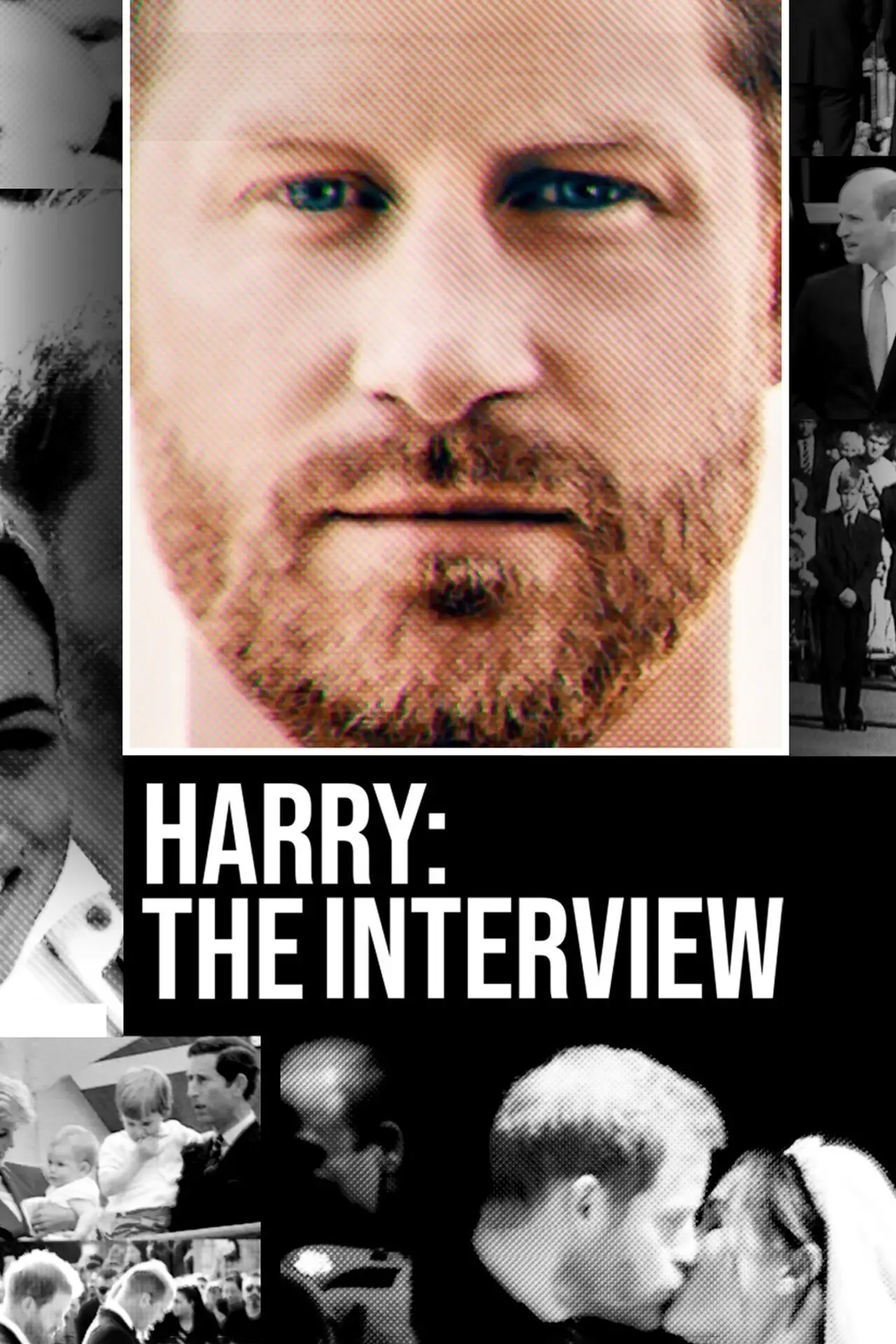 Постер до фільму "Harry: The Interview"