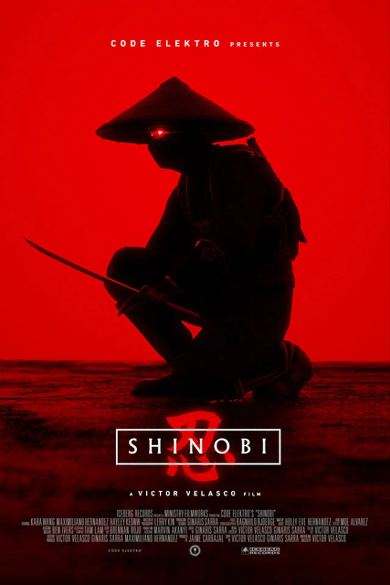 Постер до фільму "Shinobi"