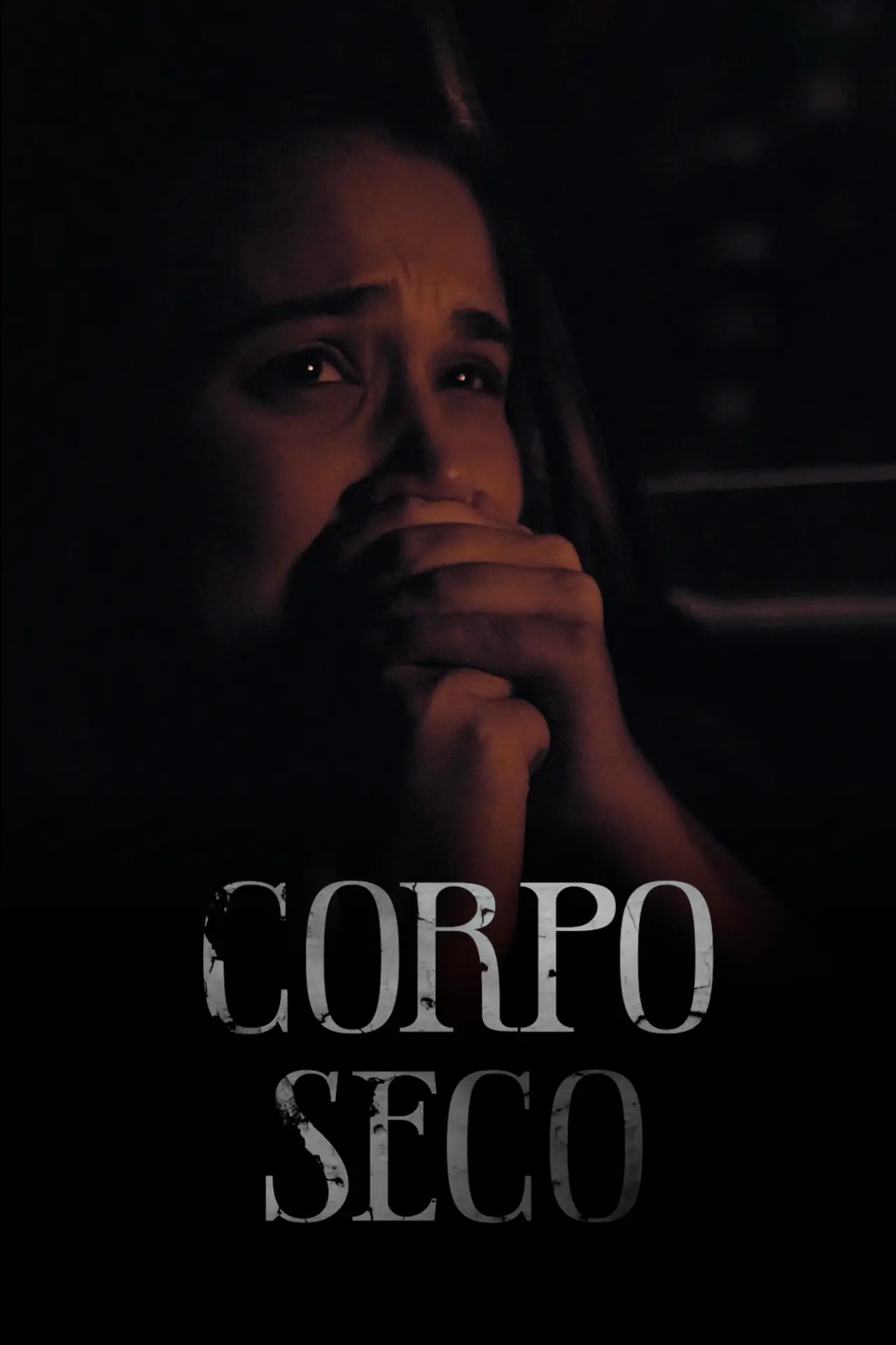 Постер до фільму "Corpo Seco"
