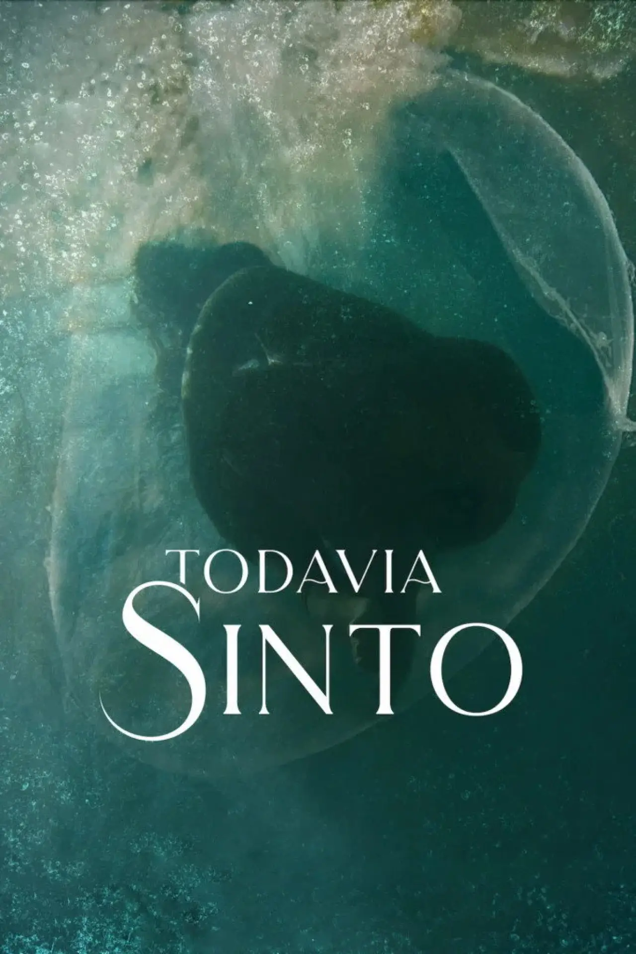 Постер до фільму "Todavia Sinto"
