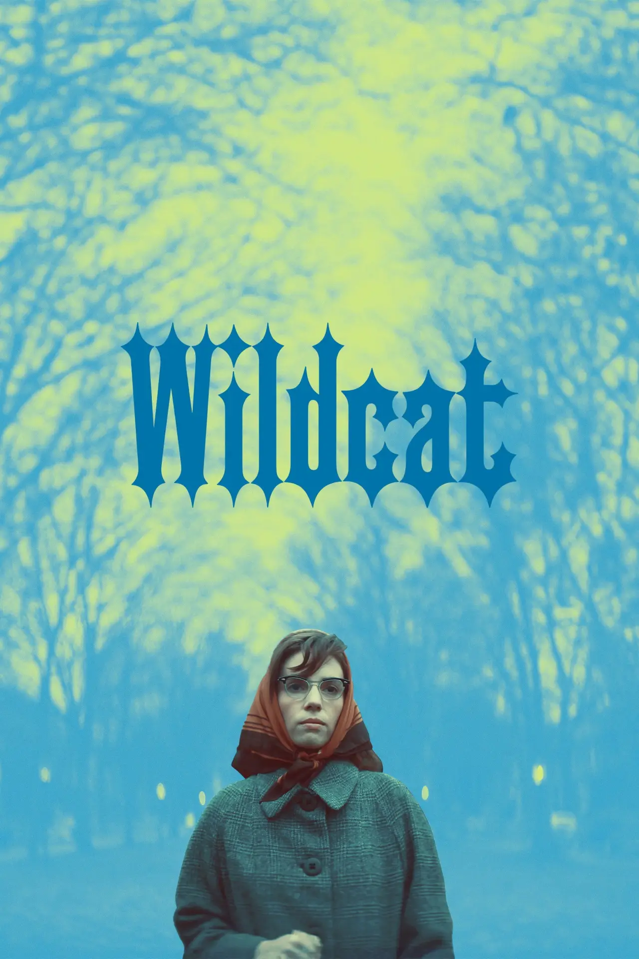 Постер до фільму "Wildcat"