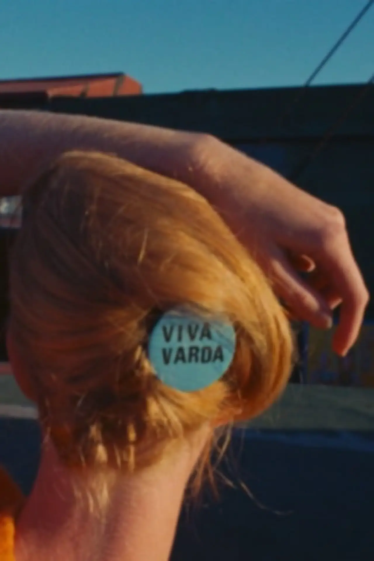 Постер до фільму "Viva Varda !"