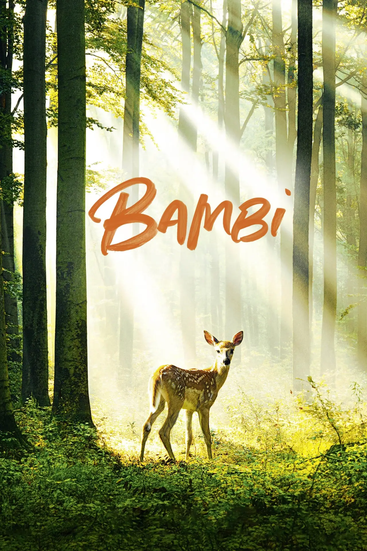 Постер до фільму "Bambi, l