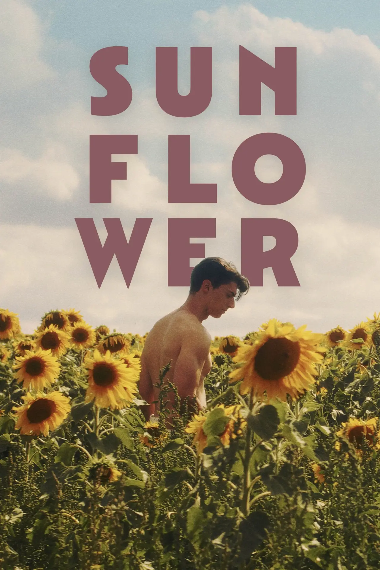 Постер до фільму "Sunflower"