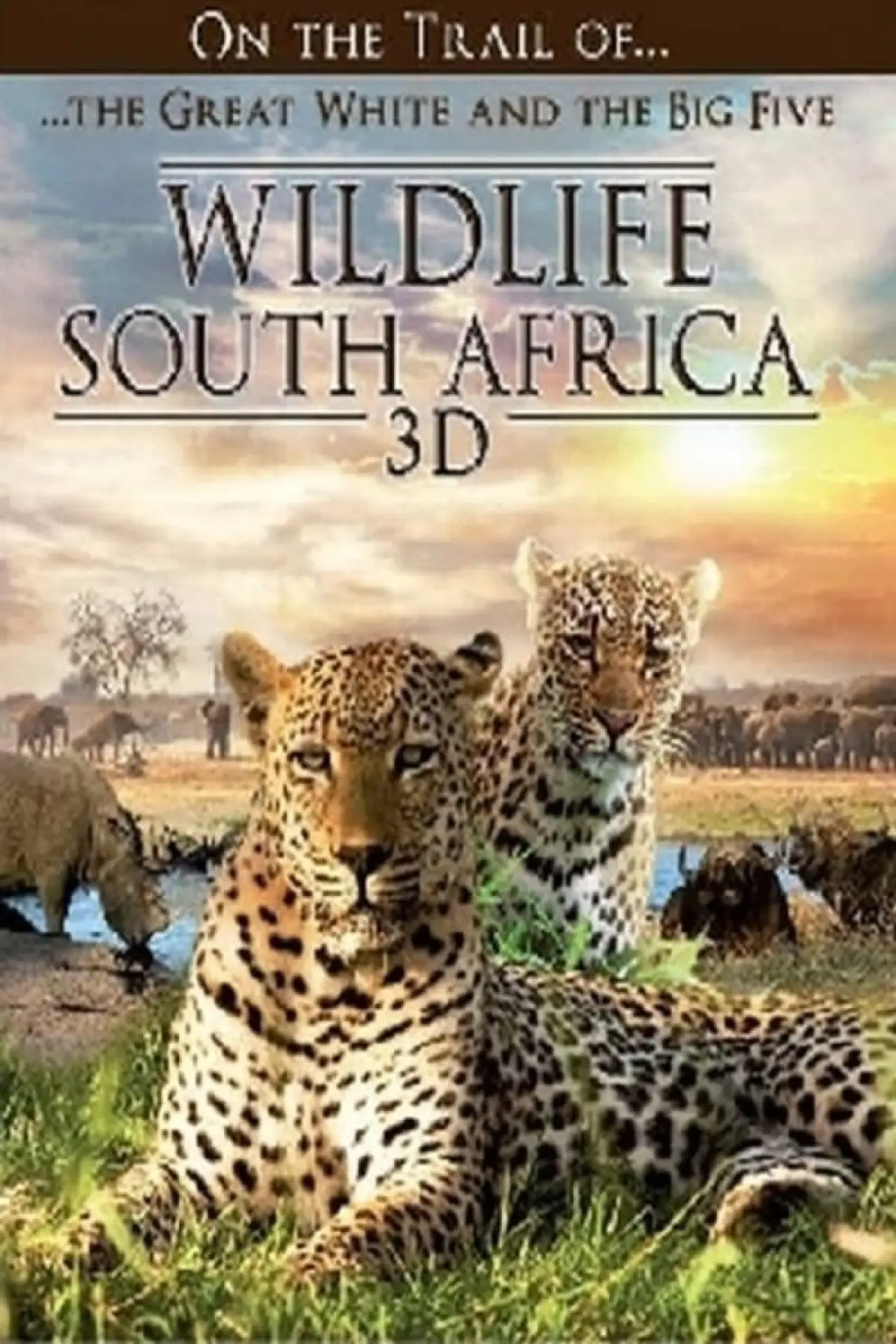 Постер до фільму "Wildlife Südafrika 3D"