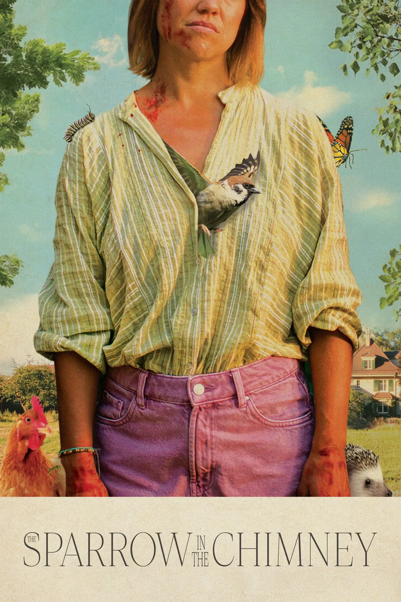 Постер до фільму "Der Spatz im Kamin"