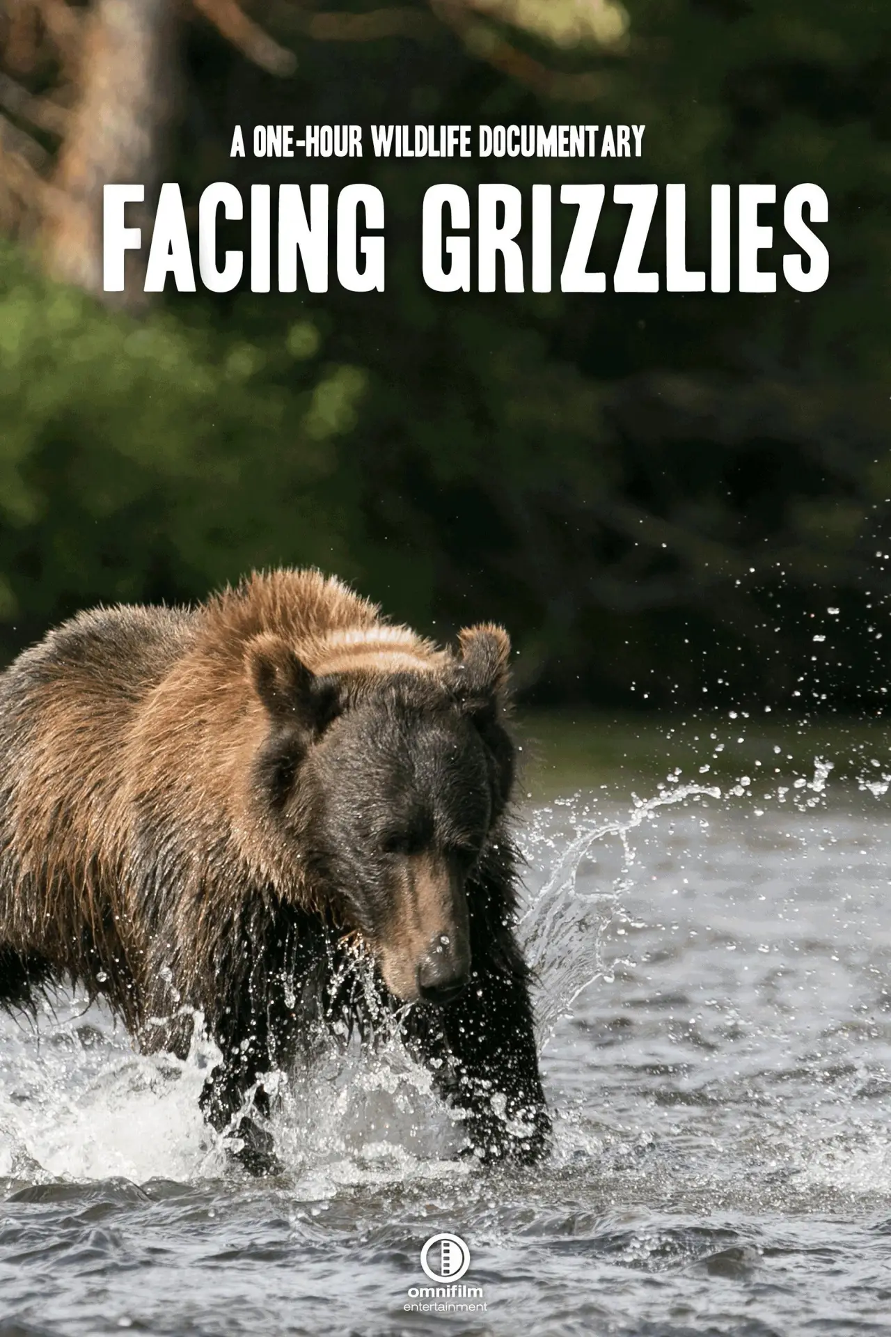 Постер до фільму "Facing Grizzlies"