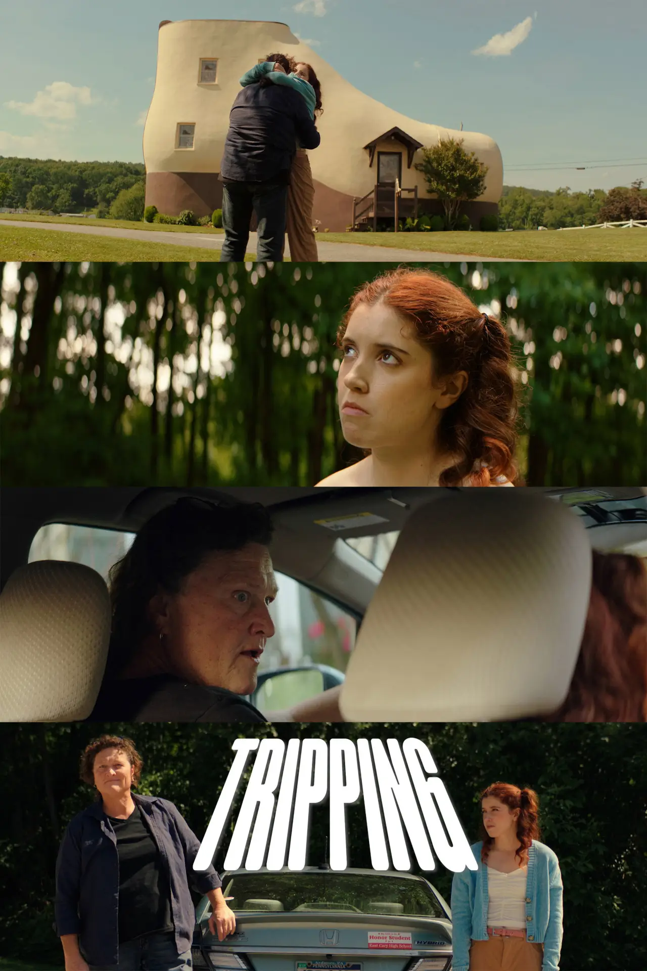Постер до фільму "Tripping"