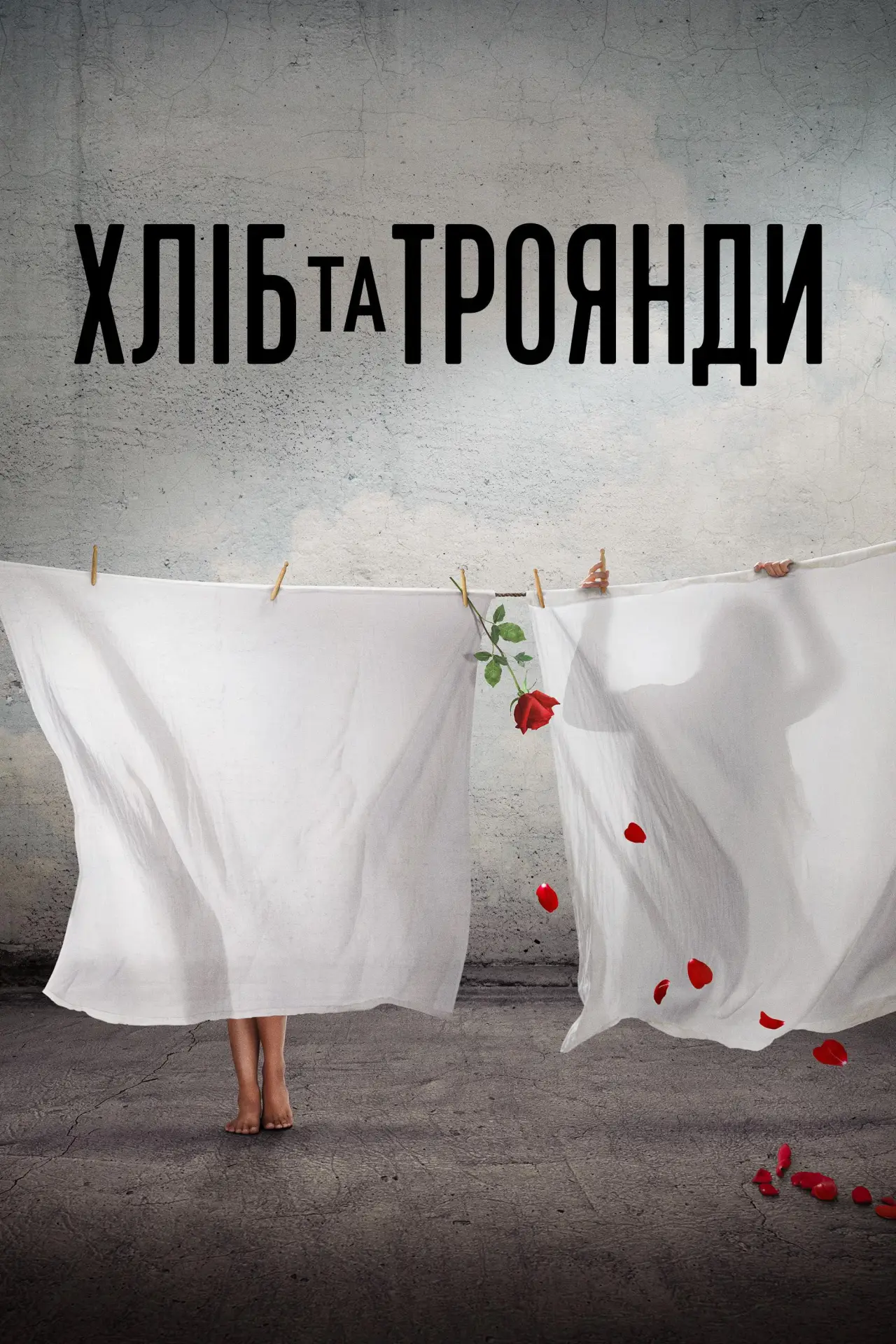 Постер до фільму "Хліб і троянди"