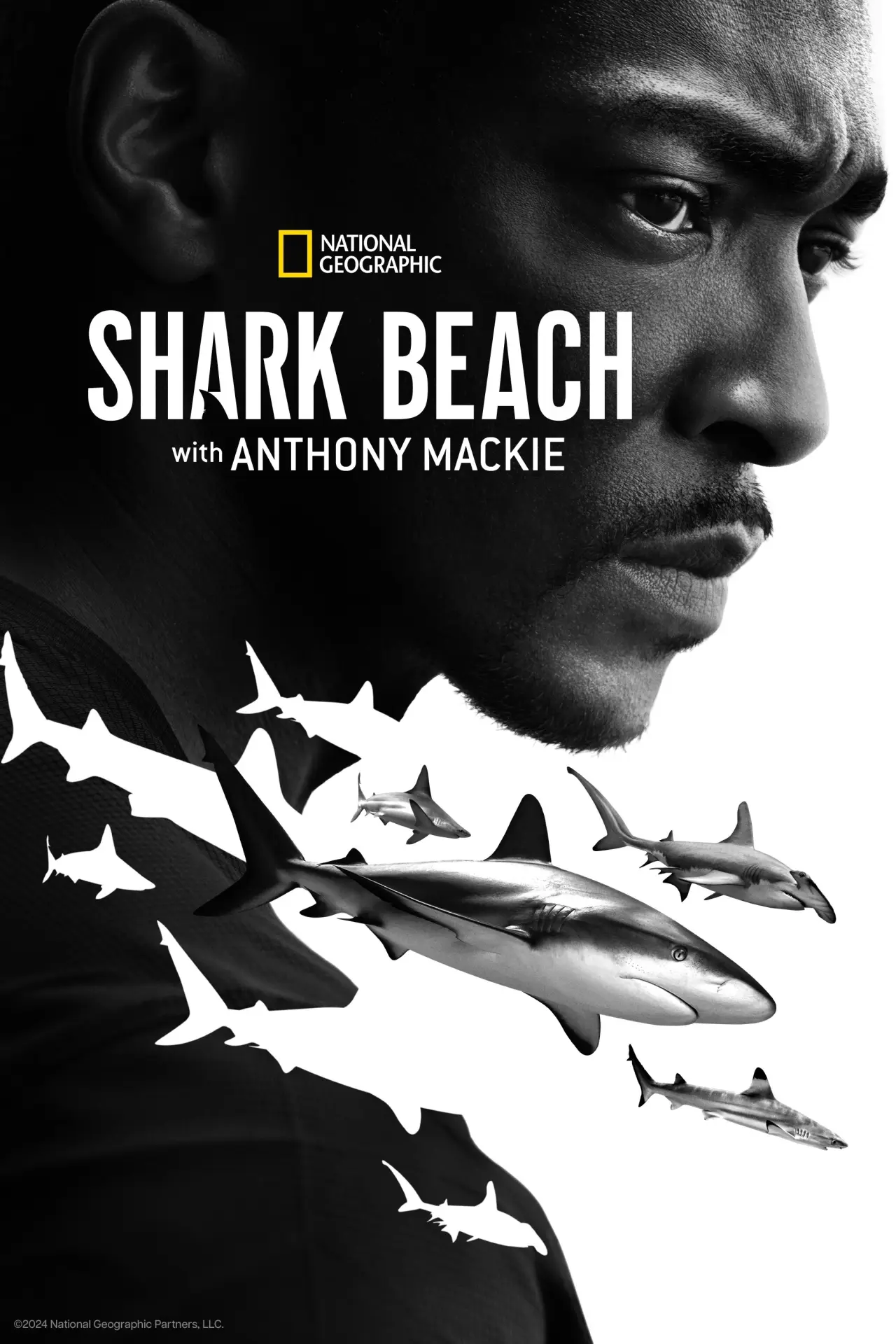 Постер до фільму "Shark Beach with Anthony Mackie"