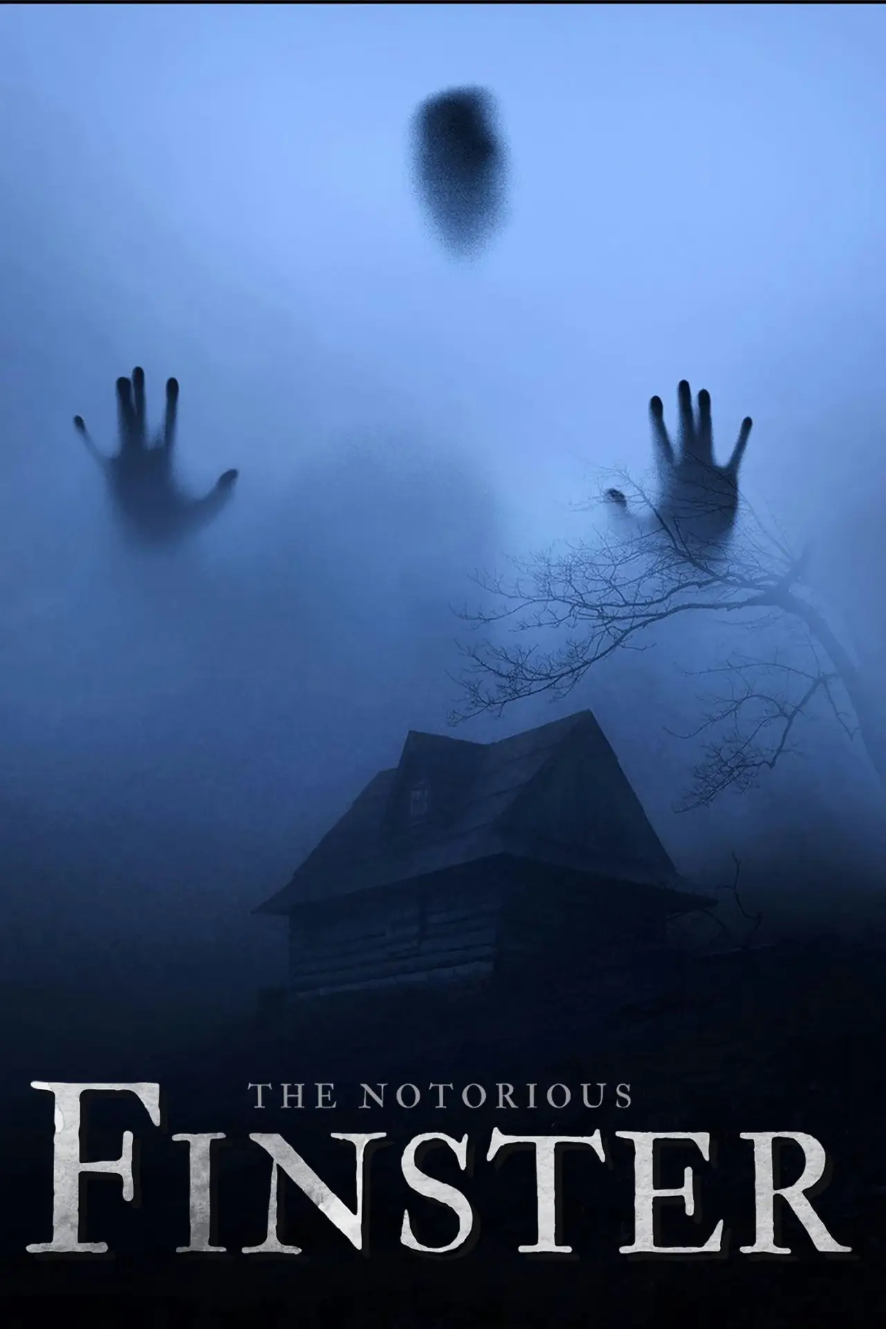 Постер до фільму "The Notorious Finster"