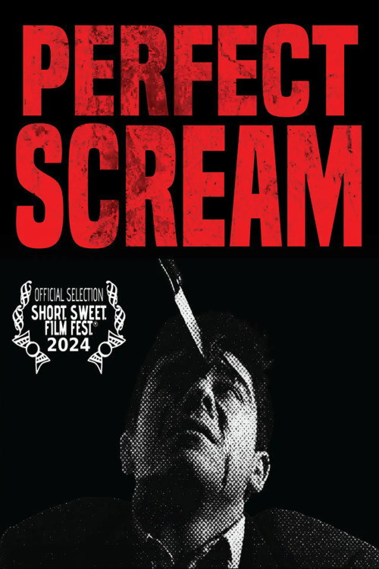Постер до фільму "Perfect Scream"