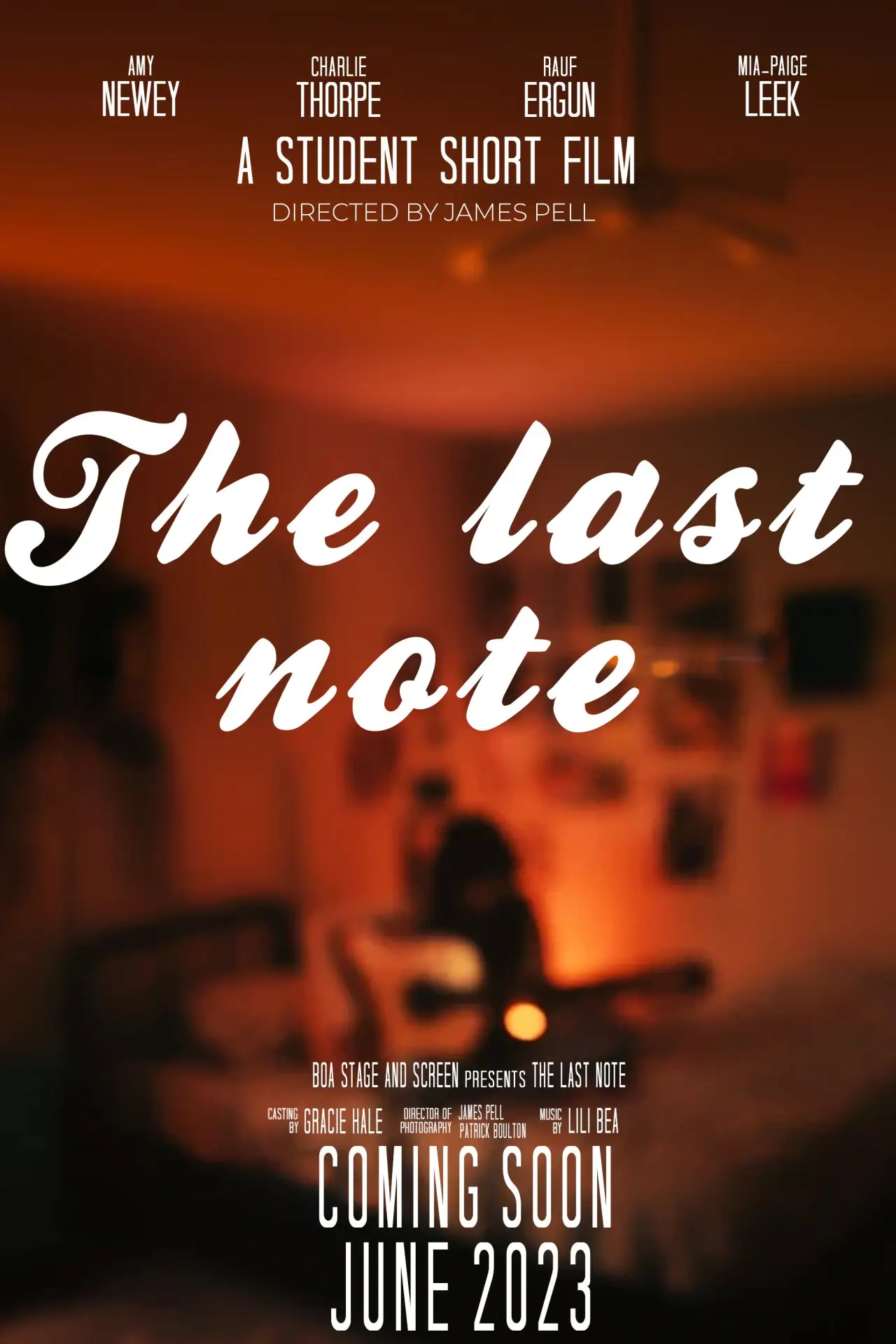 Постер до фільму "The Last Note"