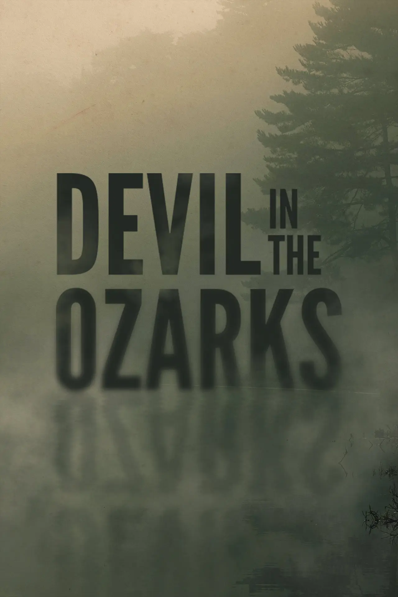 Постер до фільму "Devil in the Ozarks"