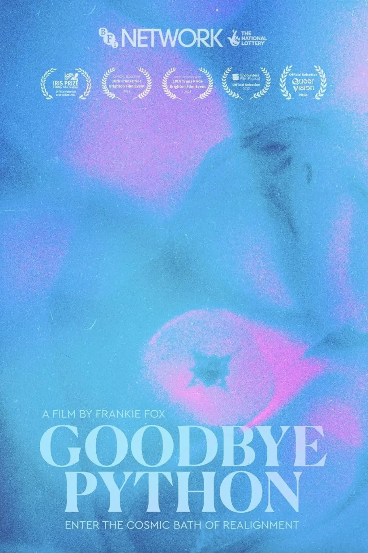Постер до фільму "Goodbye Python"
