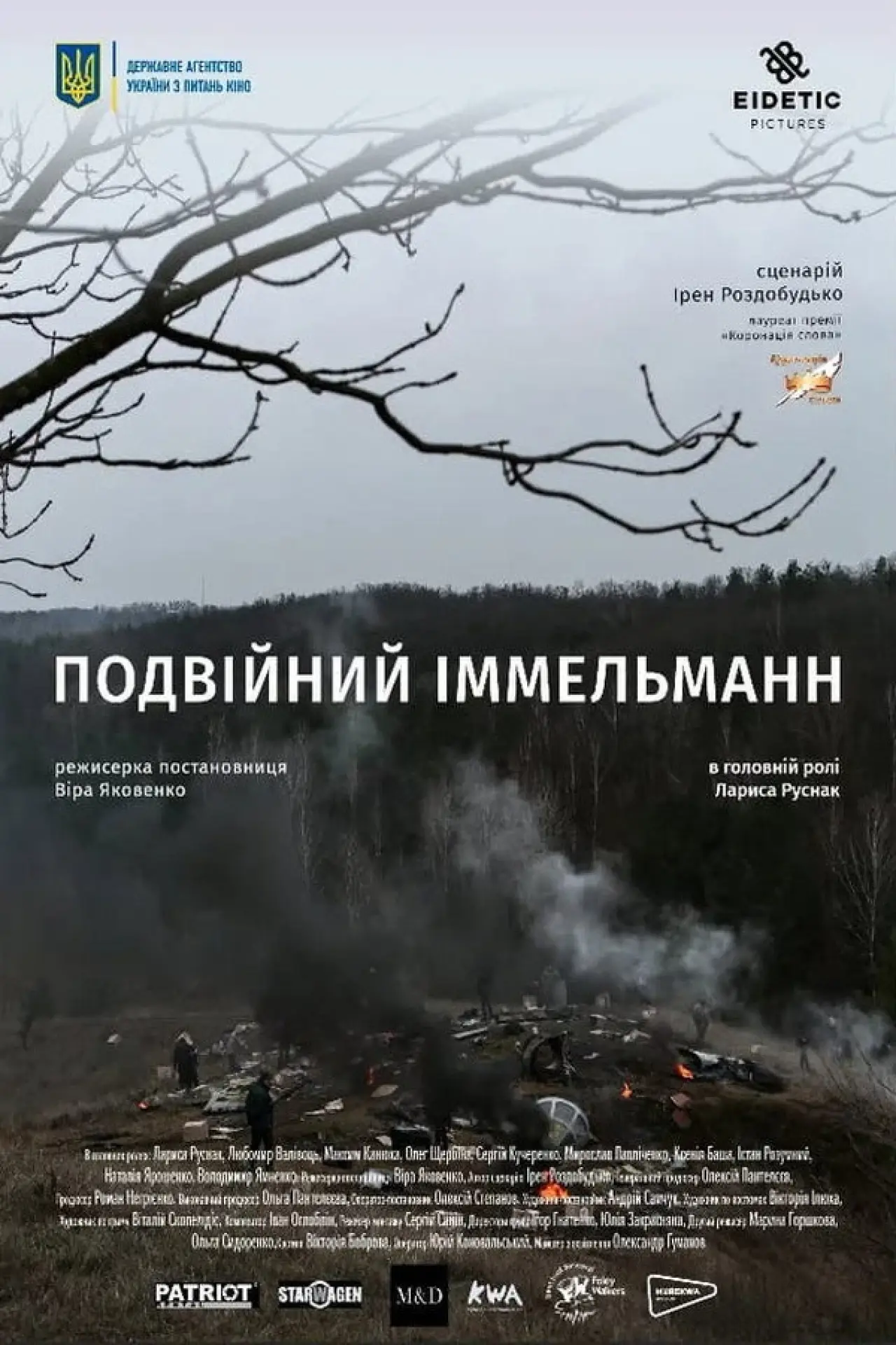 Постер до фільму "Подвійний іммельманн"