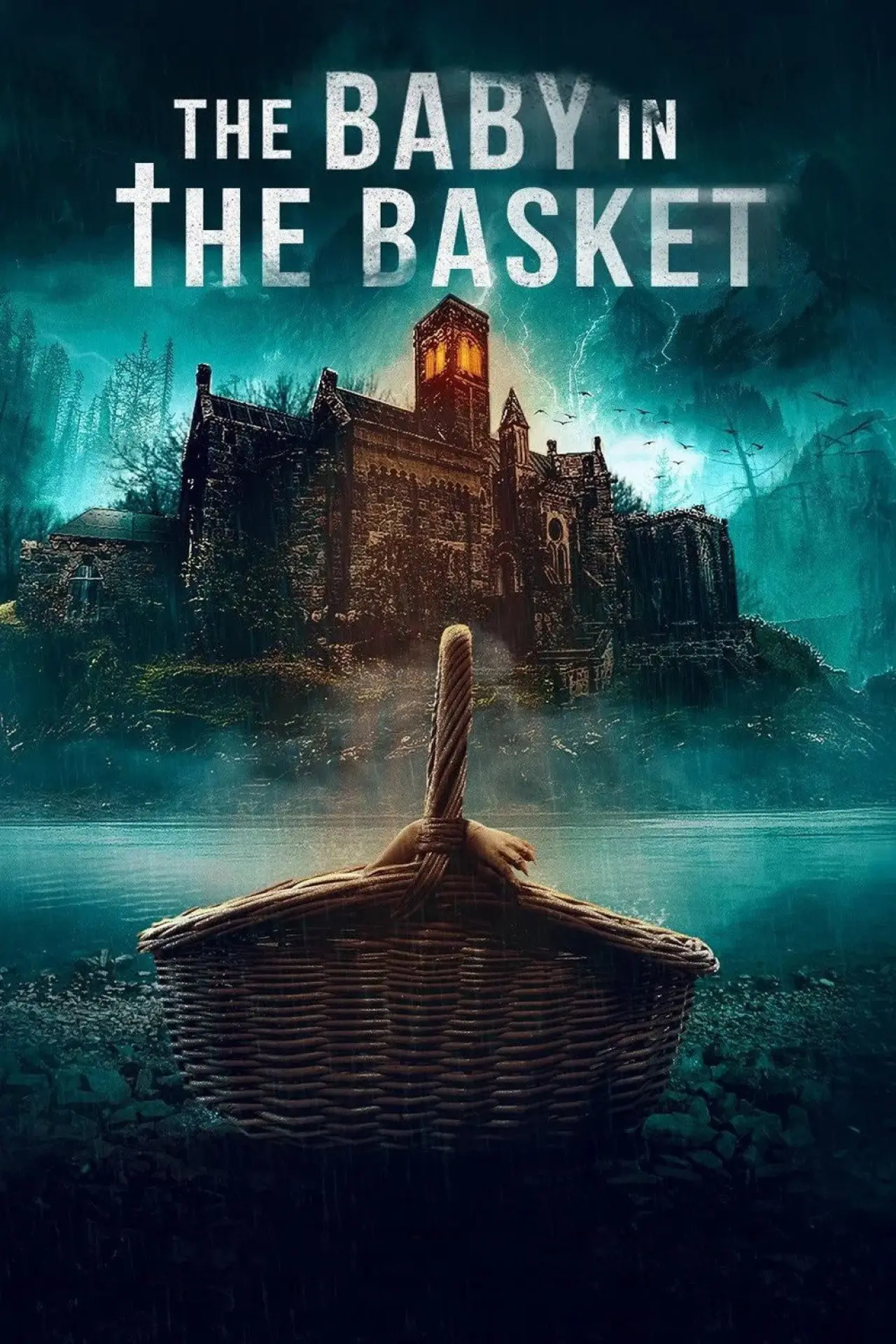 Постер до фільму "The Baby in the Basket"