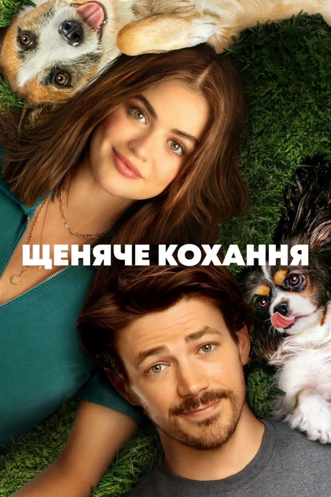 Постер до фільму "Щеняче кохання"