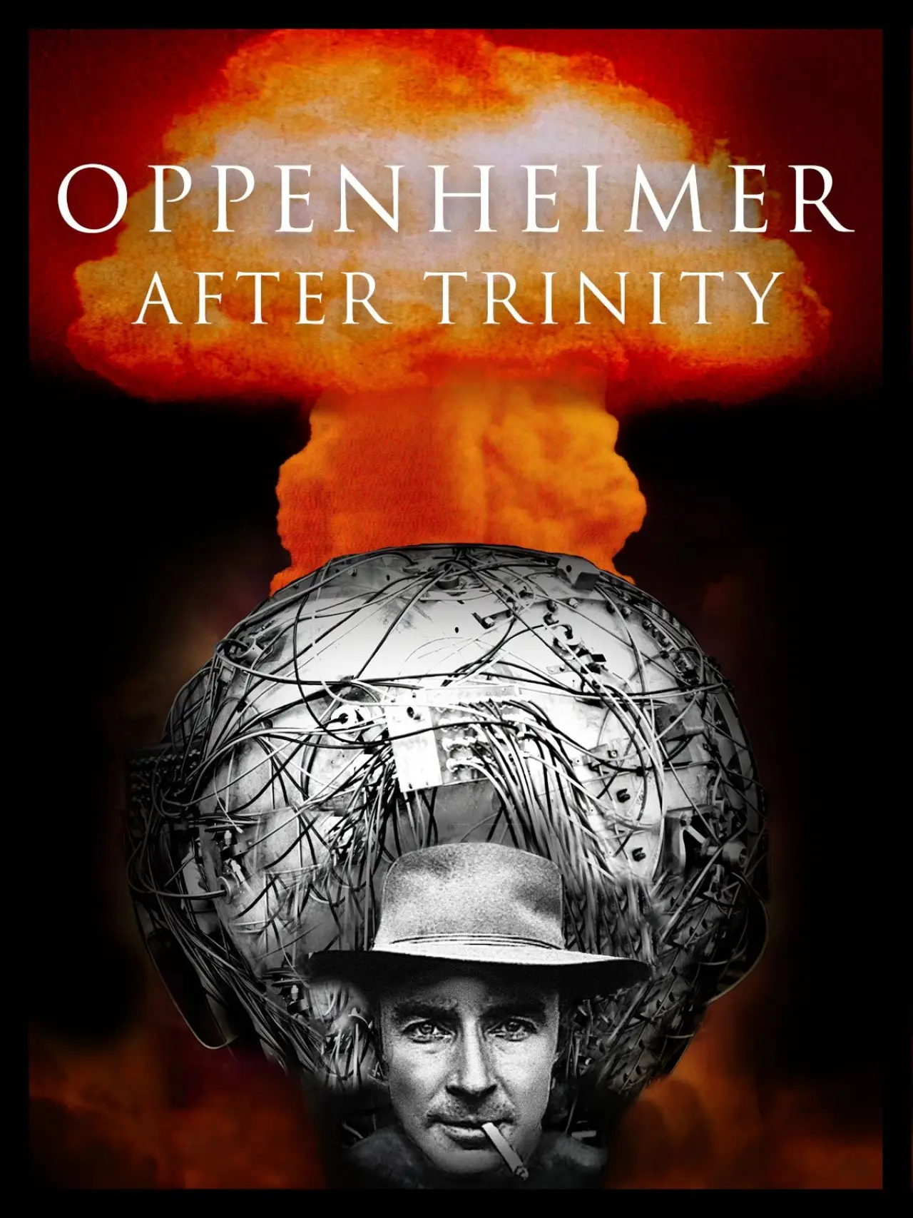 Постер до фільму "Oppenheimer After Trinity"