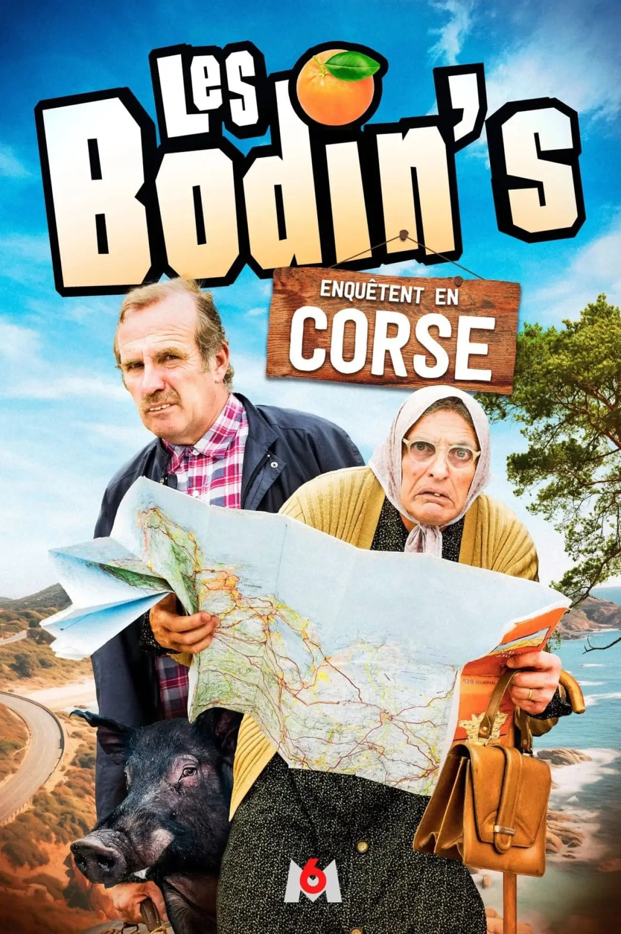 Постер до фільму "Les Bodin